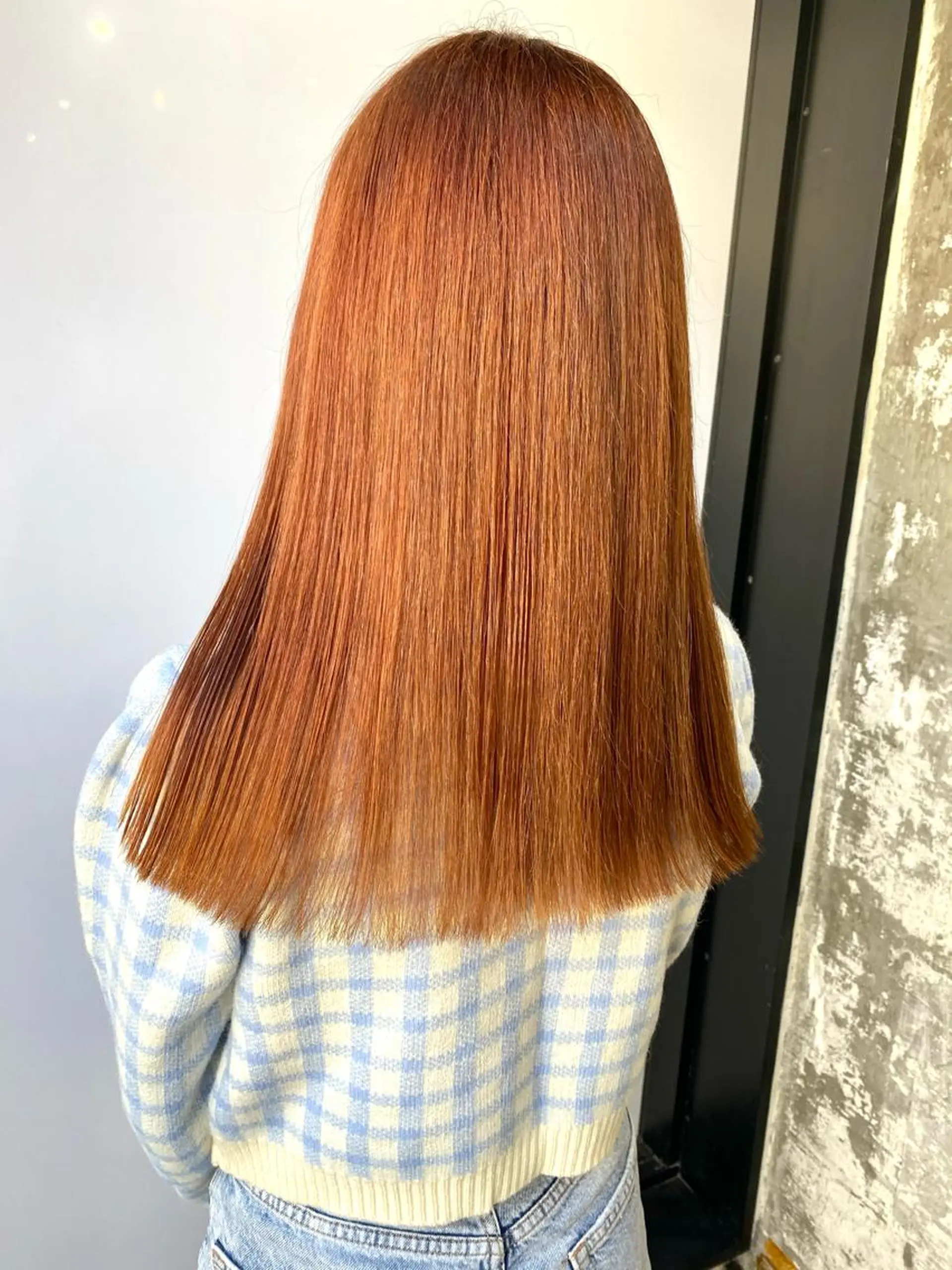 ロング カラー ハッシュレイヤー ༊*·˚ リナのヘアスタイル