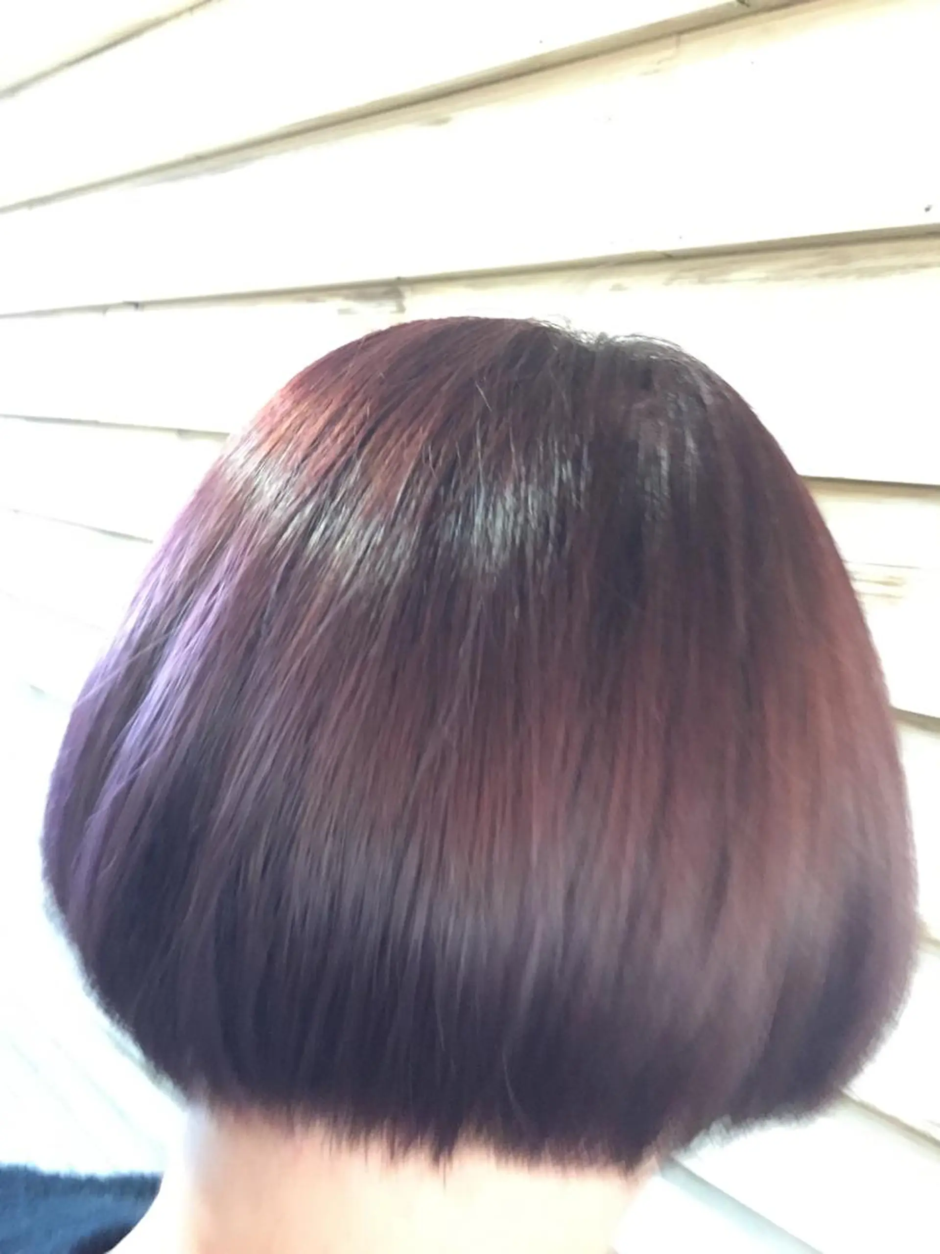 カラー バイオレットカラー カラー特化サロン茶屋 町Furukuboのヘアスタイル