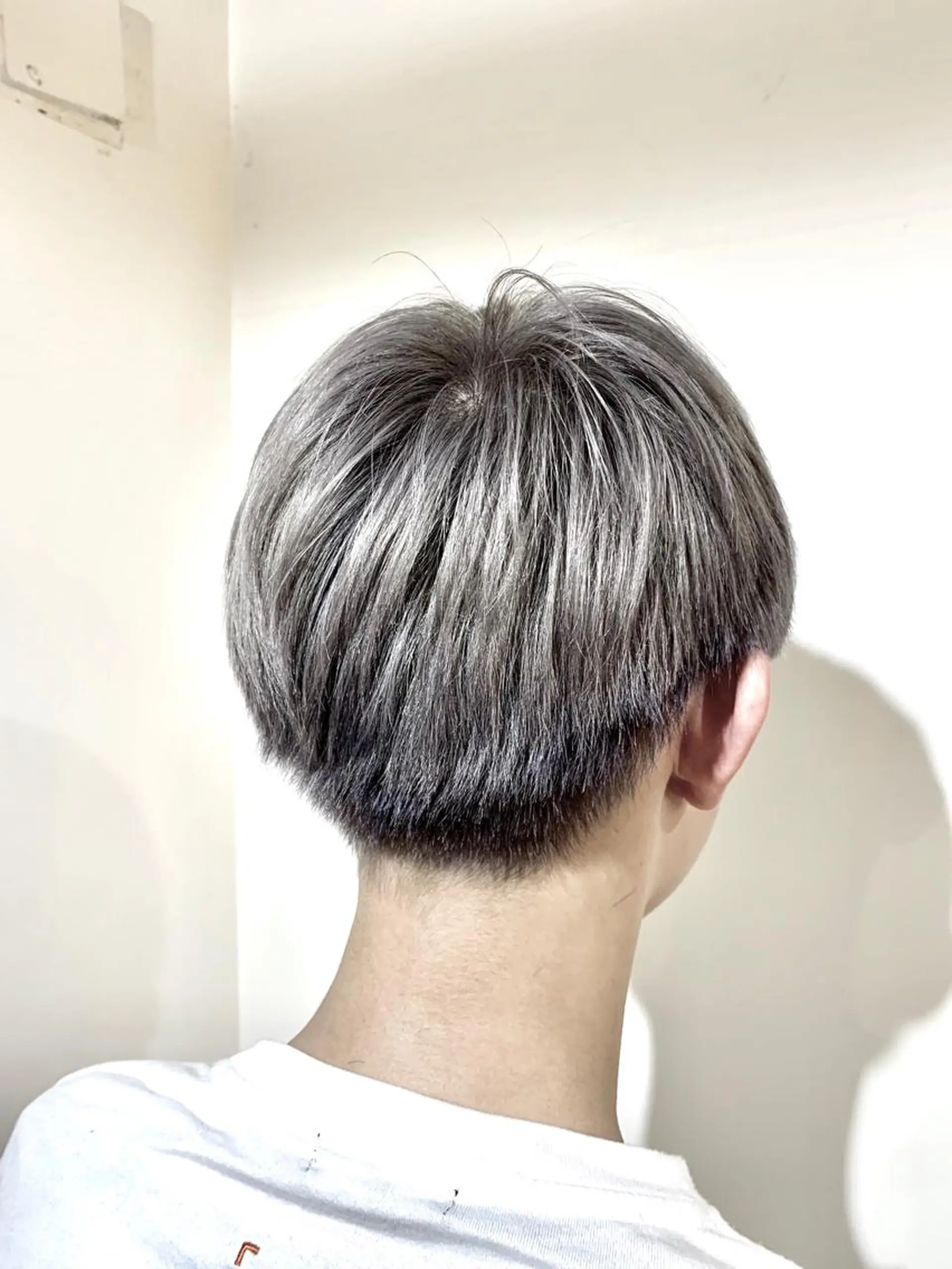 ショート カラー アッシュ シルバー シルバーアッシュ ヘアカラー トリートメント 河野 行史のヘアスタイル