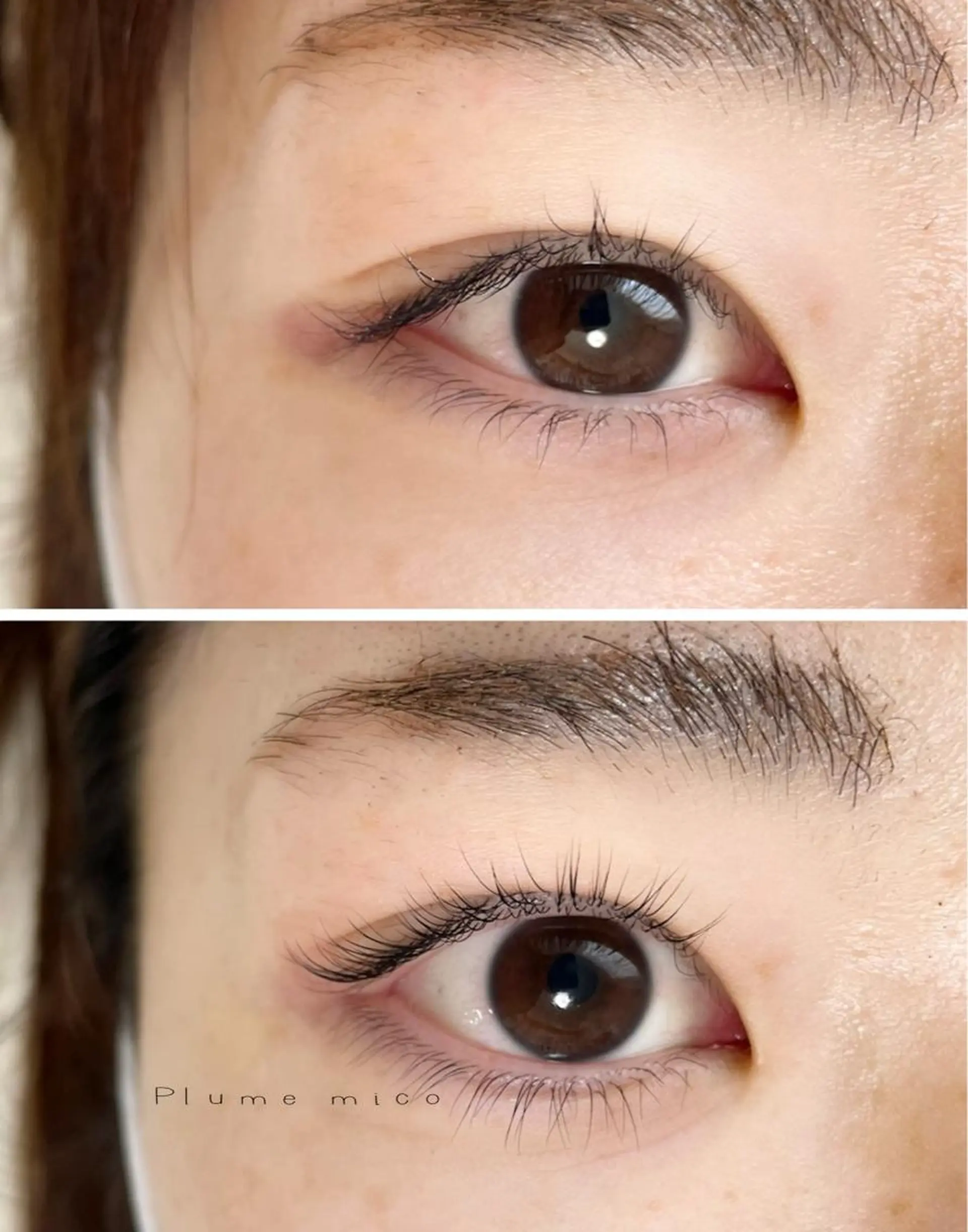 マツエク・マツパ マツパ Plume micoのマツエク・マツパデザイン