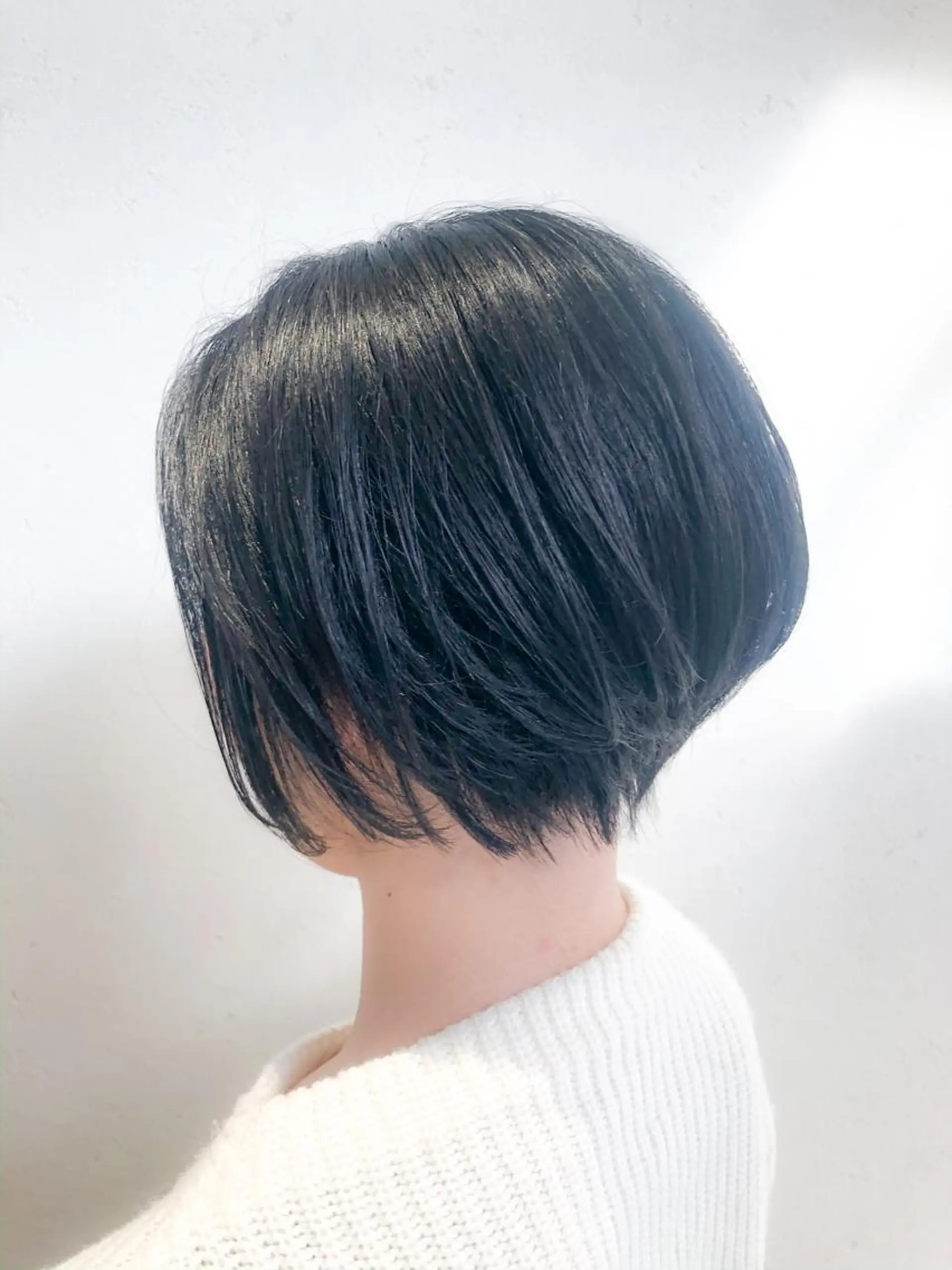 ショート カラー 池田 寿子のヘアスタイル