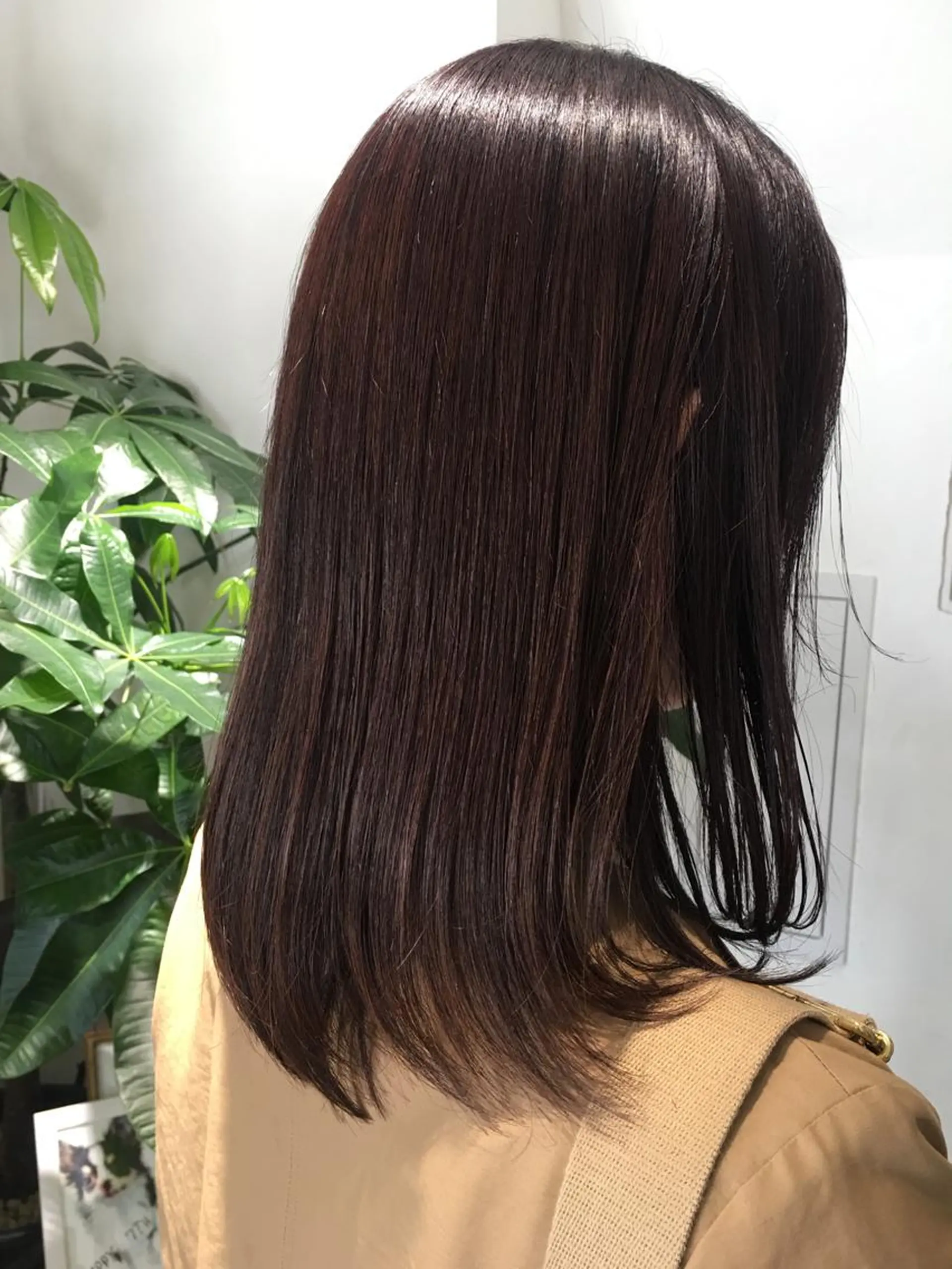 ミディアム 髪質改善 カット 縮毛矯正 妙見 知洋のヘアスタイル