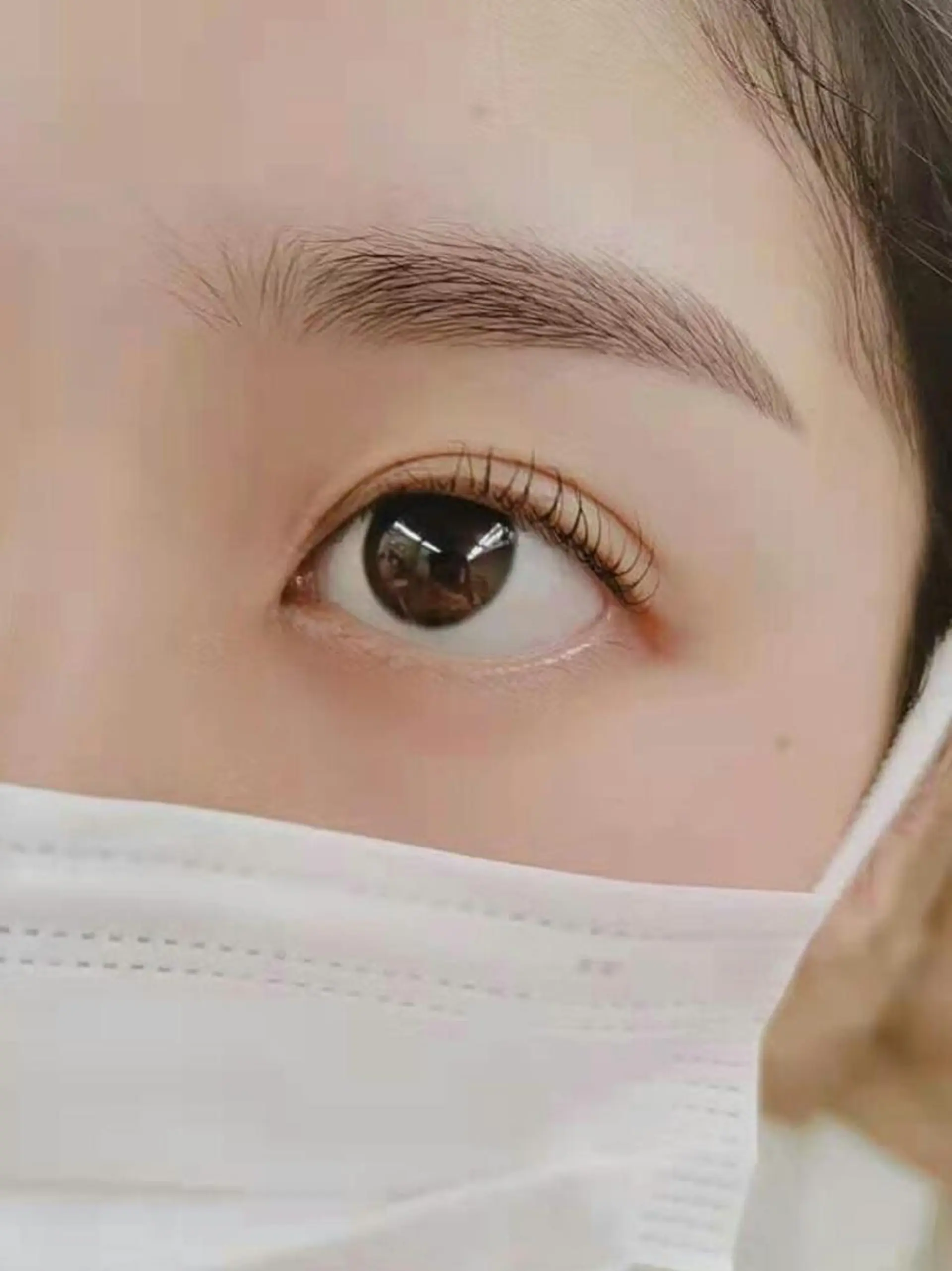 マツエク・マツパ まつげパーマ 胡蝶蘭レディースサロ ン眉マツパエクステの眉毛・アイブロウイメージ