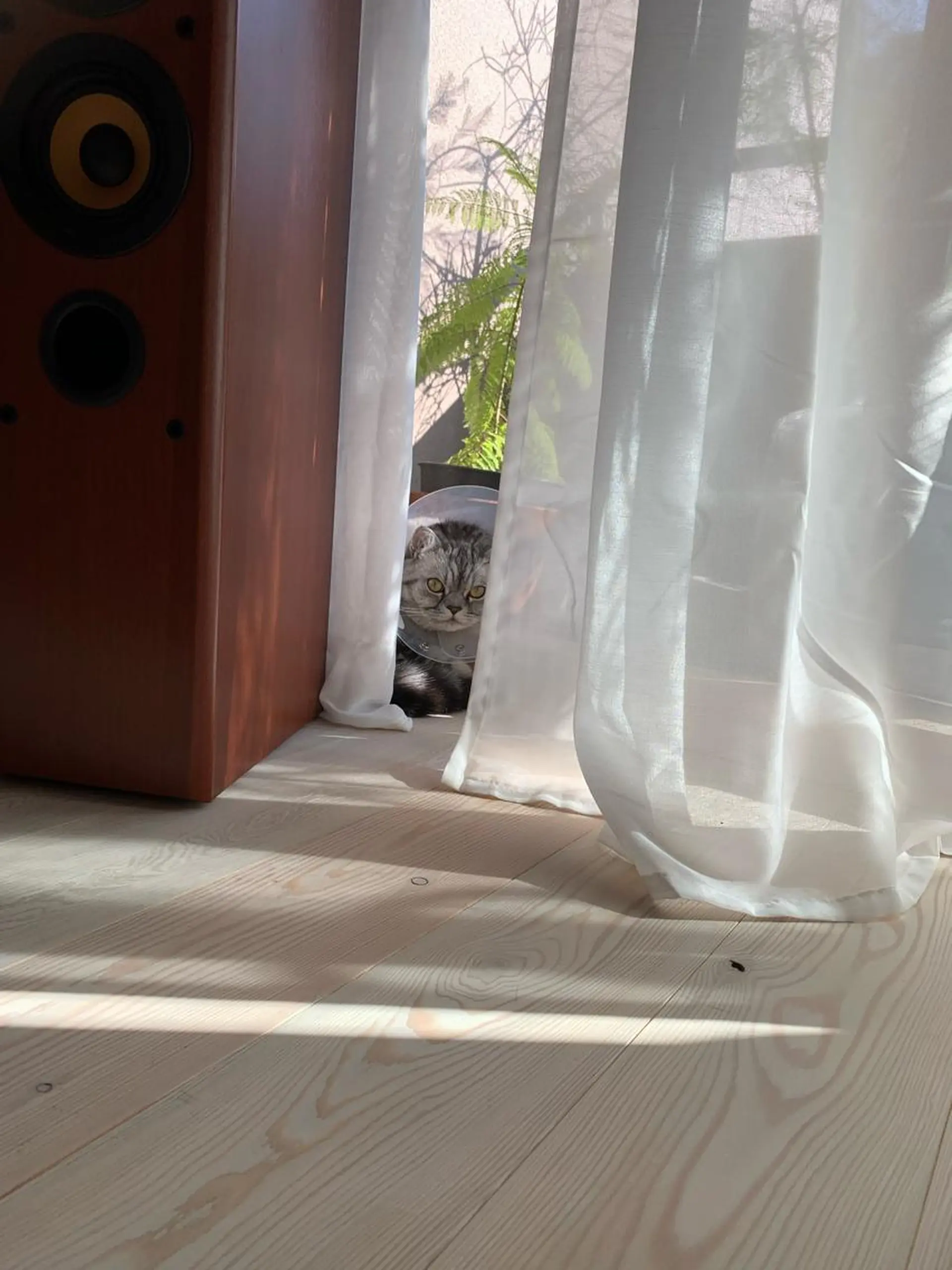 大阪・感覚から整う 体質改善サロンのエステ・リラクイメージ