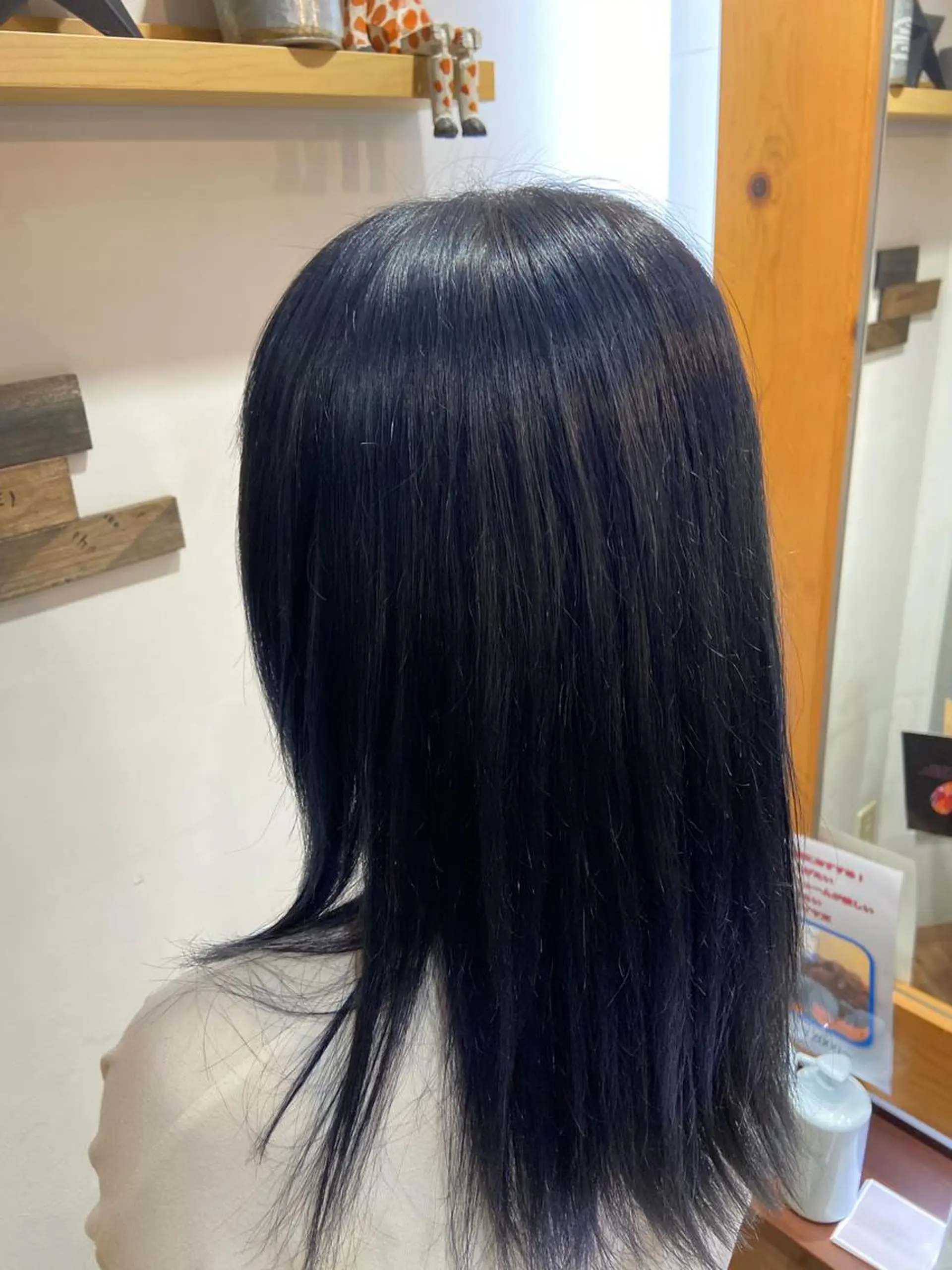 カラー 黒髪 ブルーカラー ブルーブラック 透明感カラー 🪼高評価🪼 💎柴崎の藤咲💎のヘアスタイル