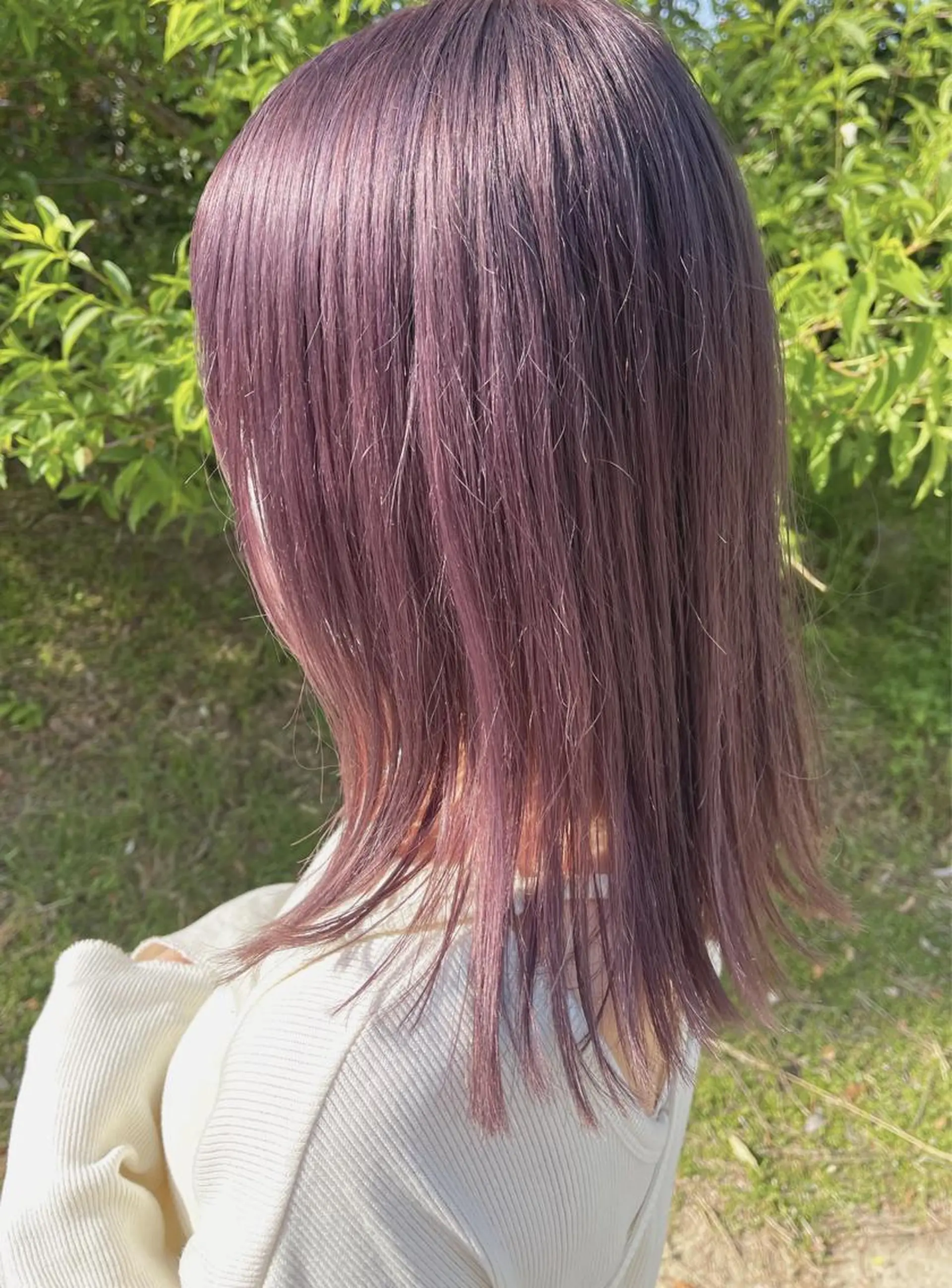 ミディアム カラー ベージュカラー ラベンダーカラー ラベンダーベージュ ラベンダーピンク ピンクカラー kyon.hair 韓国カットカラーのヘアスタイル