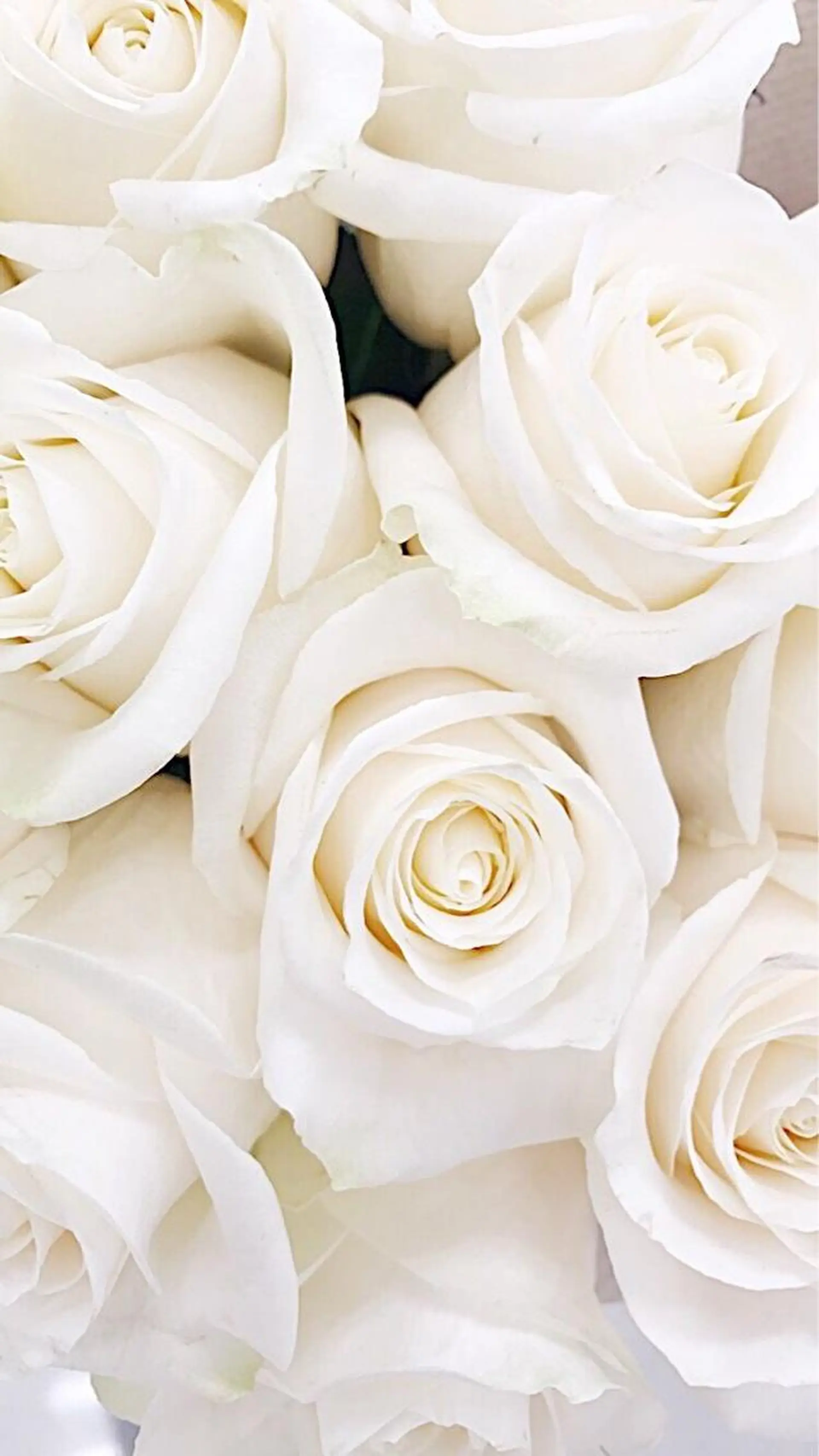 ⭐︎ISHIMORI ⭐︎の眉毛・アイブロウイメージ