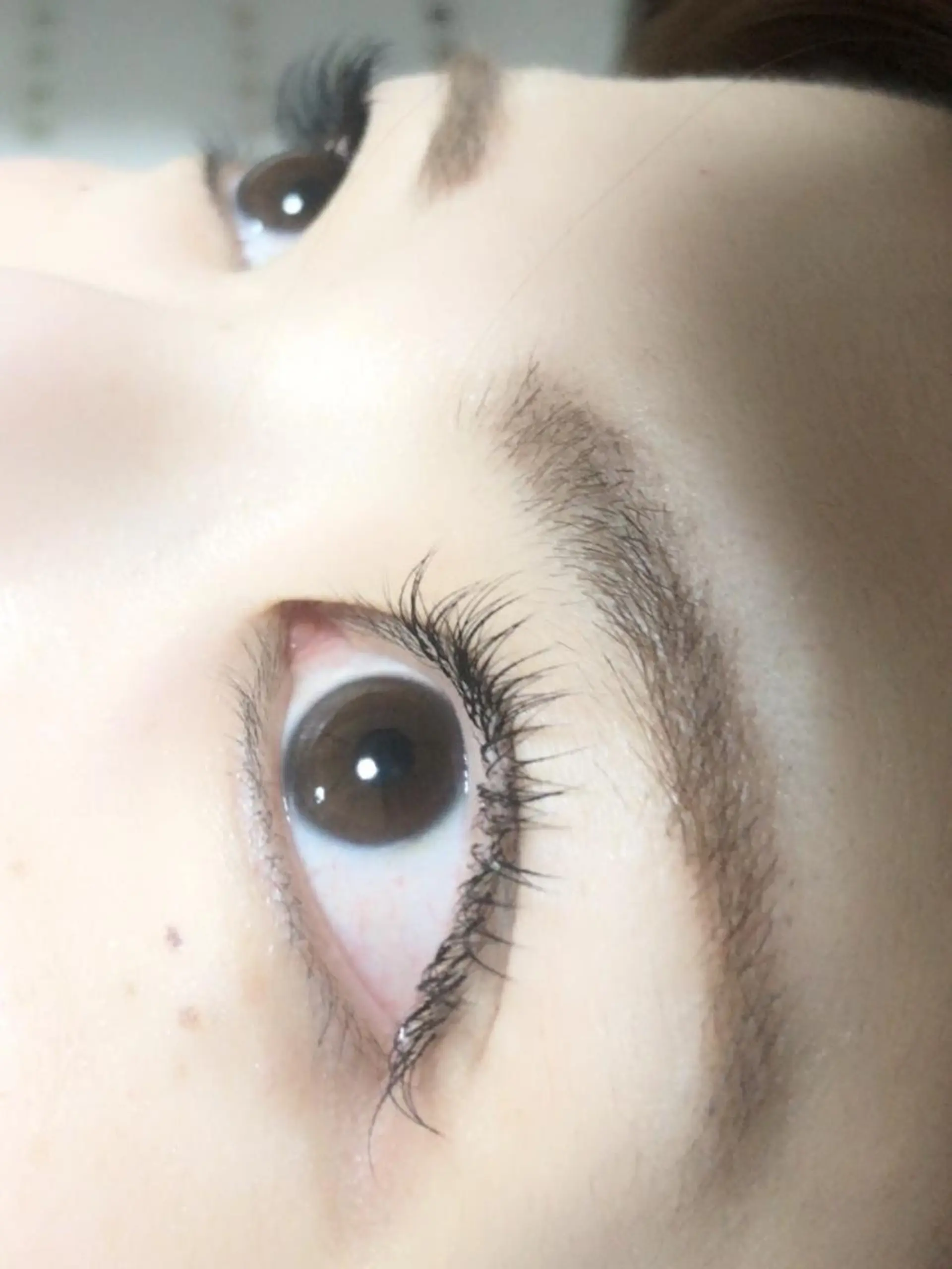 マツエク・マツパ 付け放題 Cカール フラットラッシュ Jカール セーブル Maya. anelloのマツエク・マツパデザイン