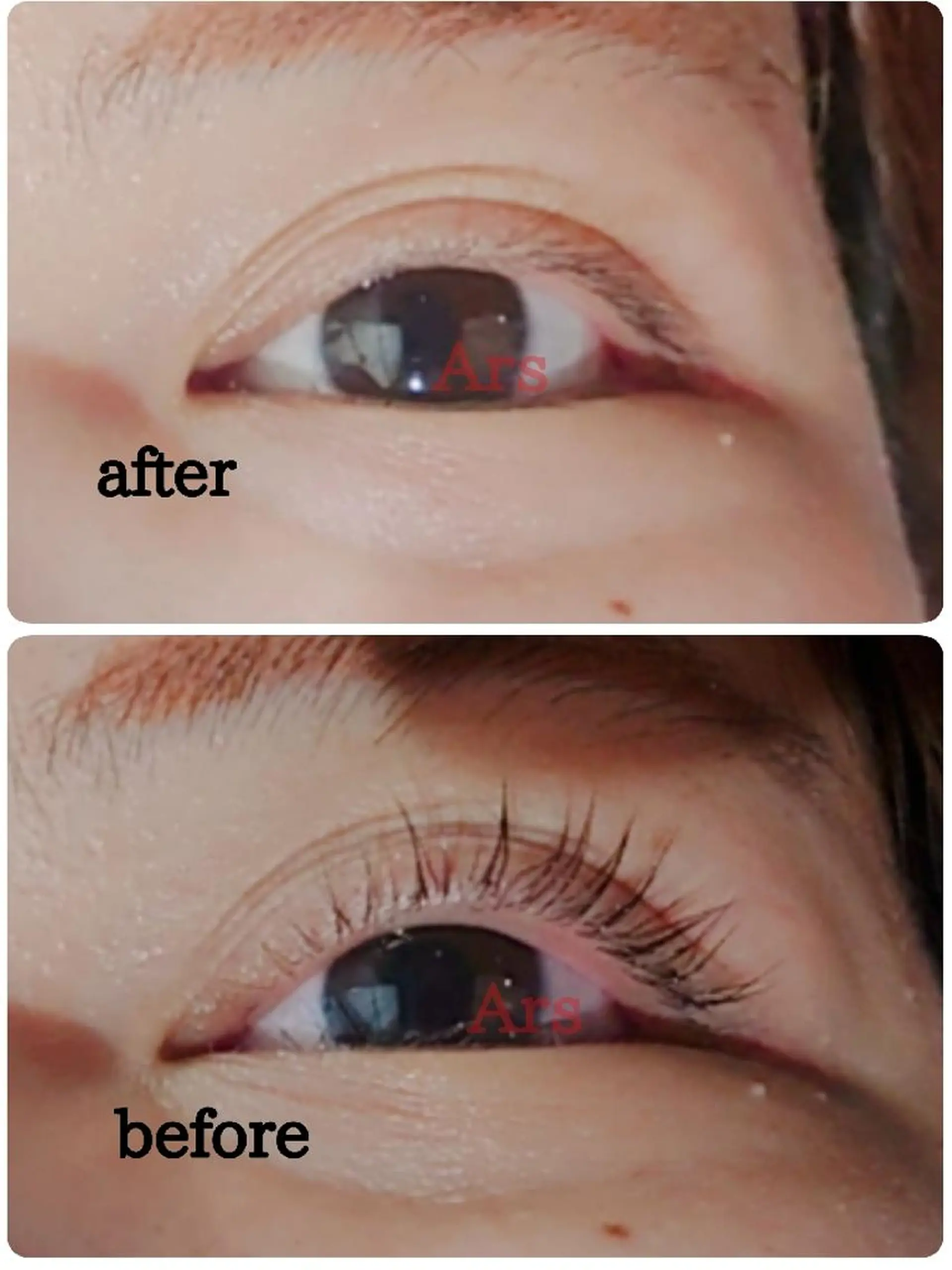 マツエク・マツパ アイリッドアップパーマ Ars      (ｱﾙｽ)のマツエク・マツパデザイン