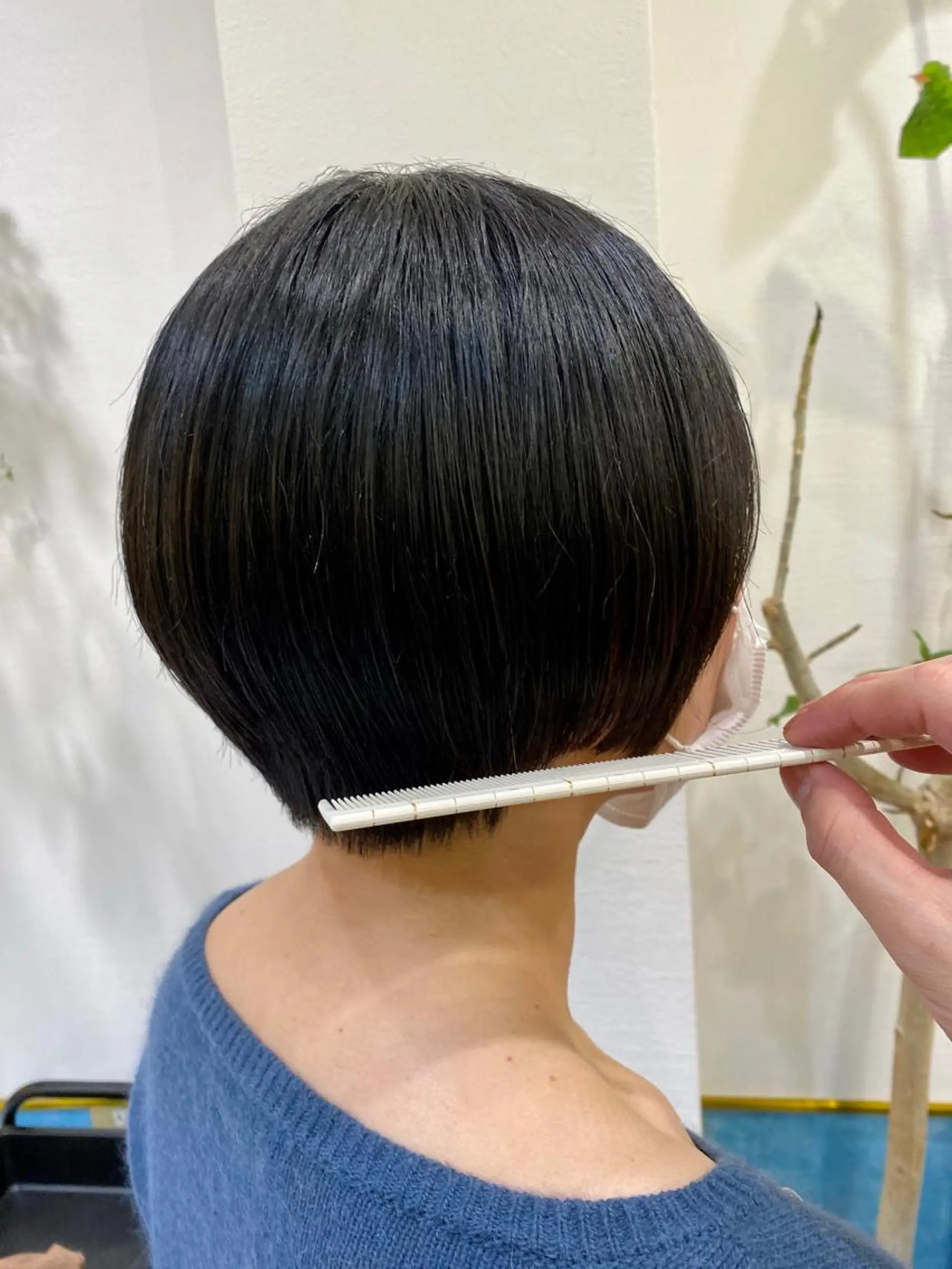 ショート 顔周り/ブリーチなし /縮毛矯正🫧伊勢のヘアスタイル