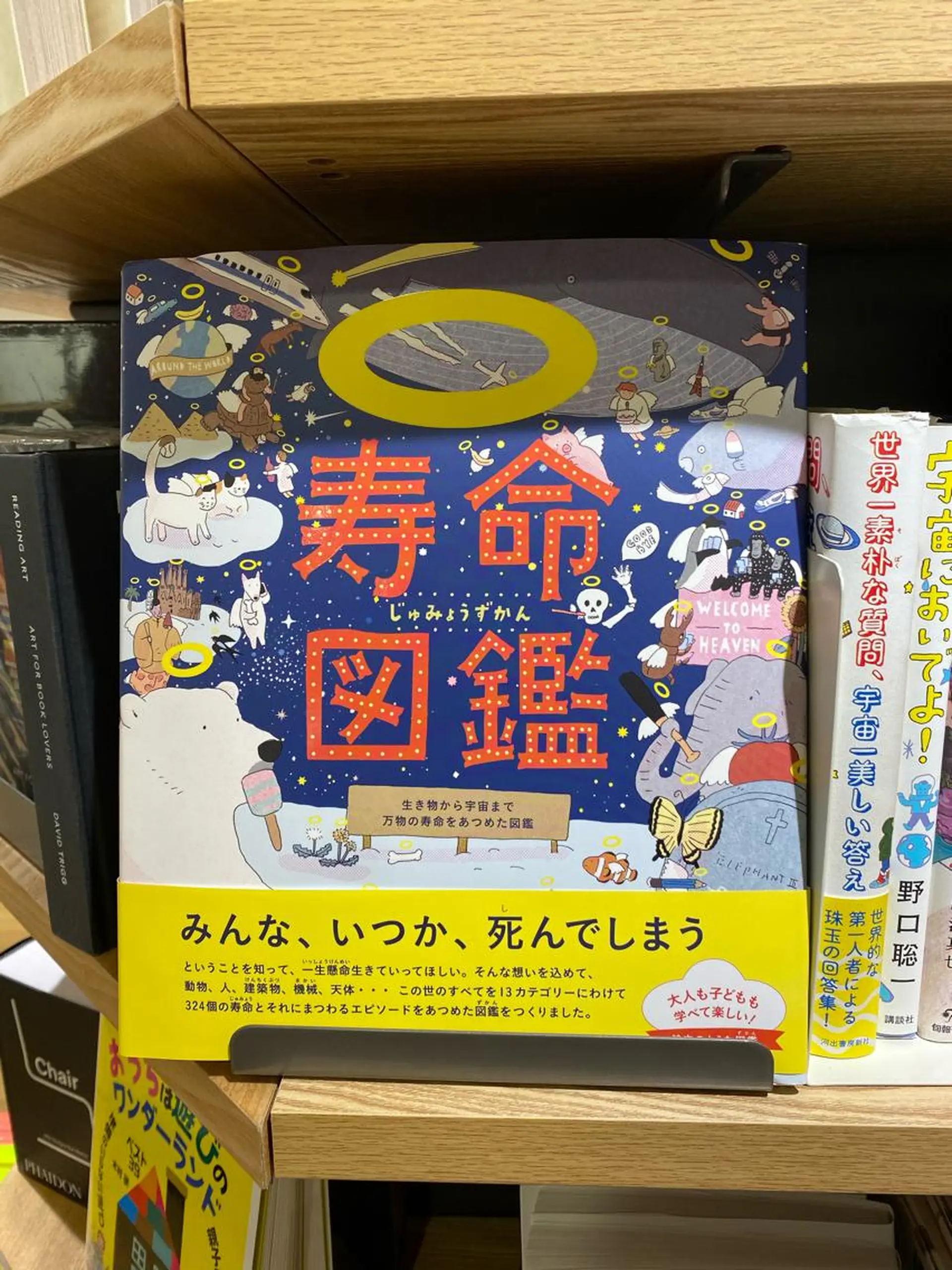 🤍 RUNA🤍のマツエク・マツパデザイン