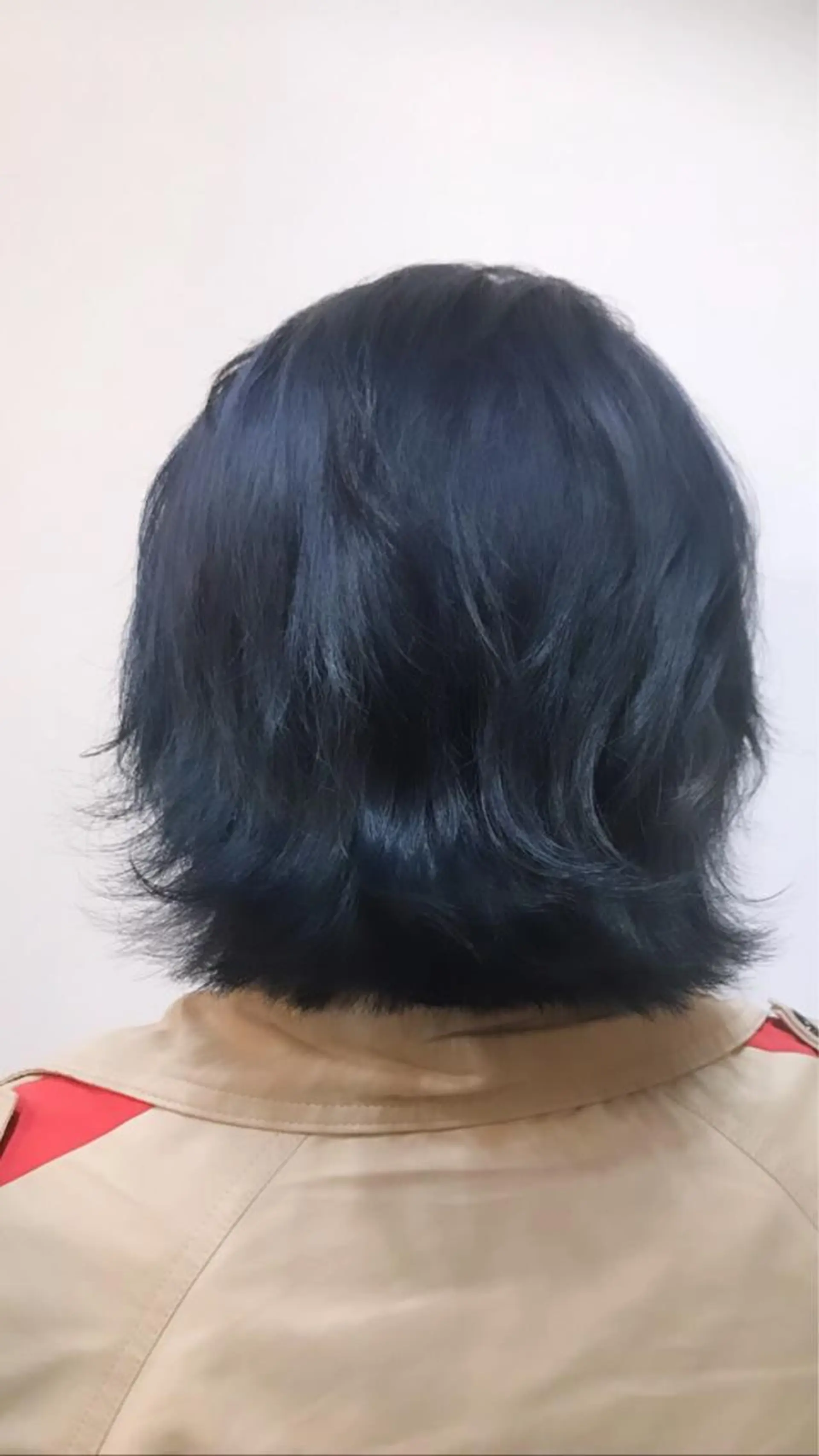 ショート カラー ヘアアレンジ ネイビーカラー アイラッシュ/美容室 個室/瀬戸 一菜のヘアスタイル