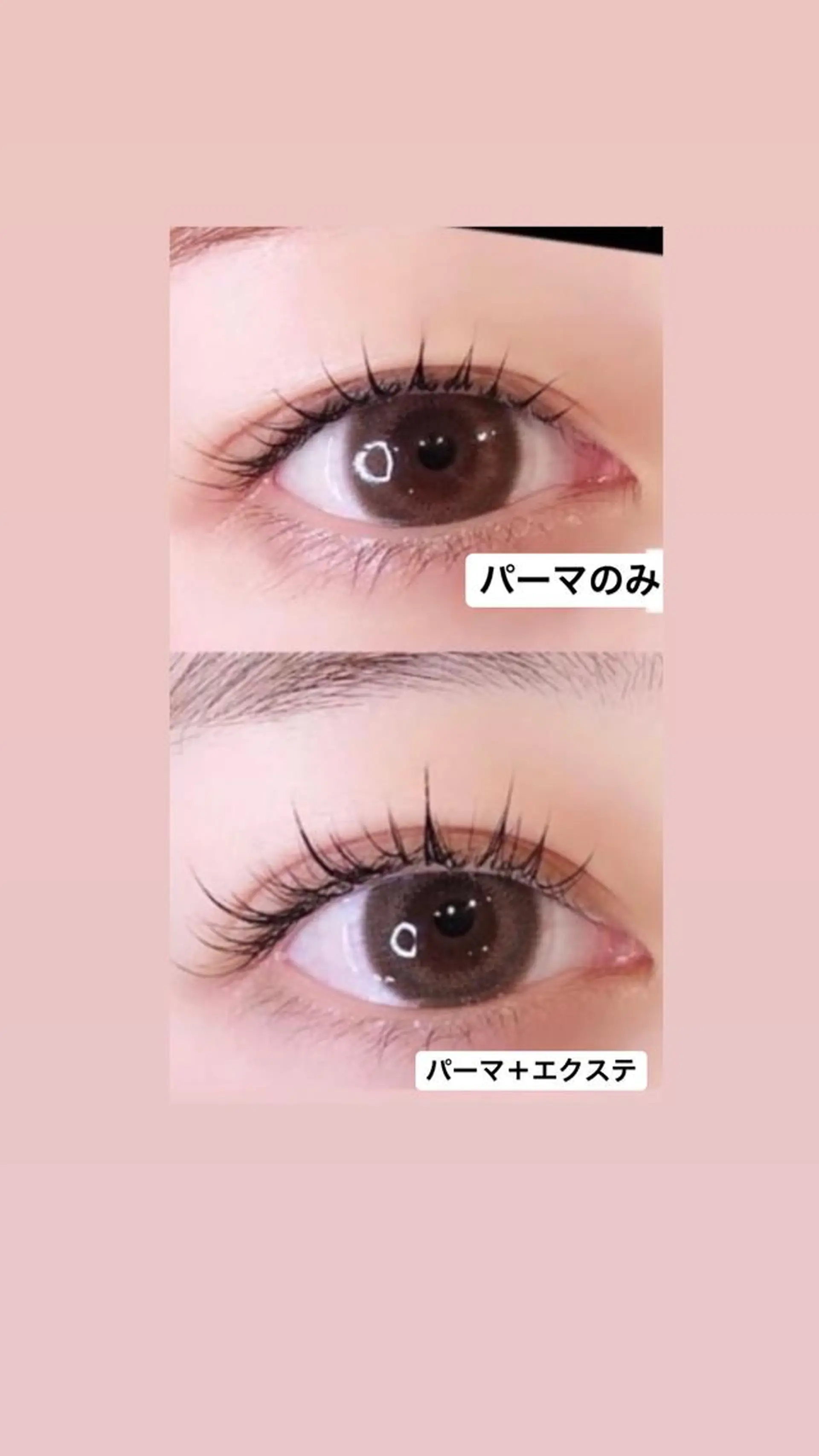 マツエク・マツパ まつげパーマ マツパ 韓国系得意🦋 Aspire.のマツエク・マツパデザイン