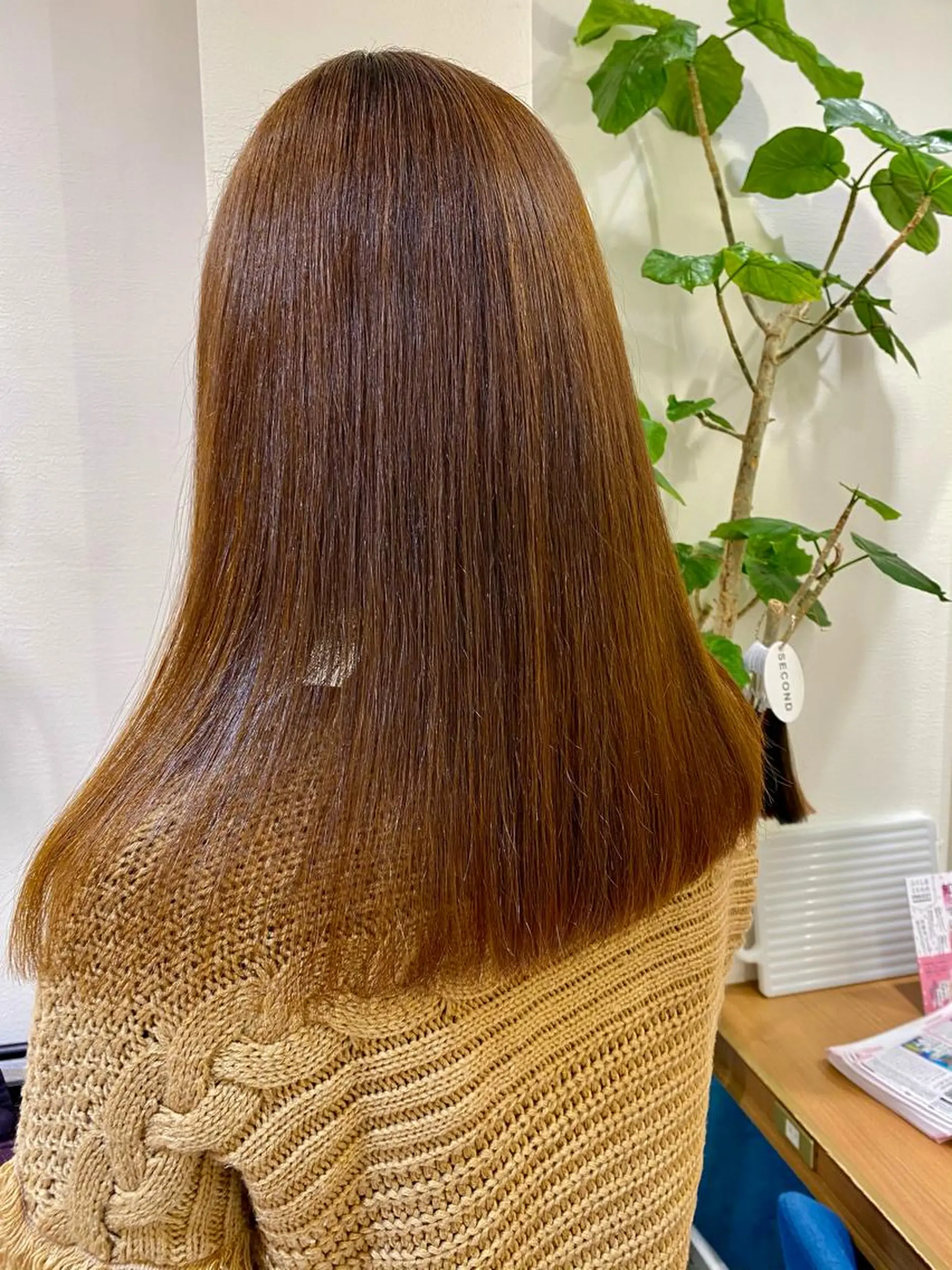 ロング カット ヘアカラー 縮毛矯正 トリートメント 顔周り/ブリーチなし /縮毛矯正🫧伊勢のヘアスタイル