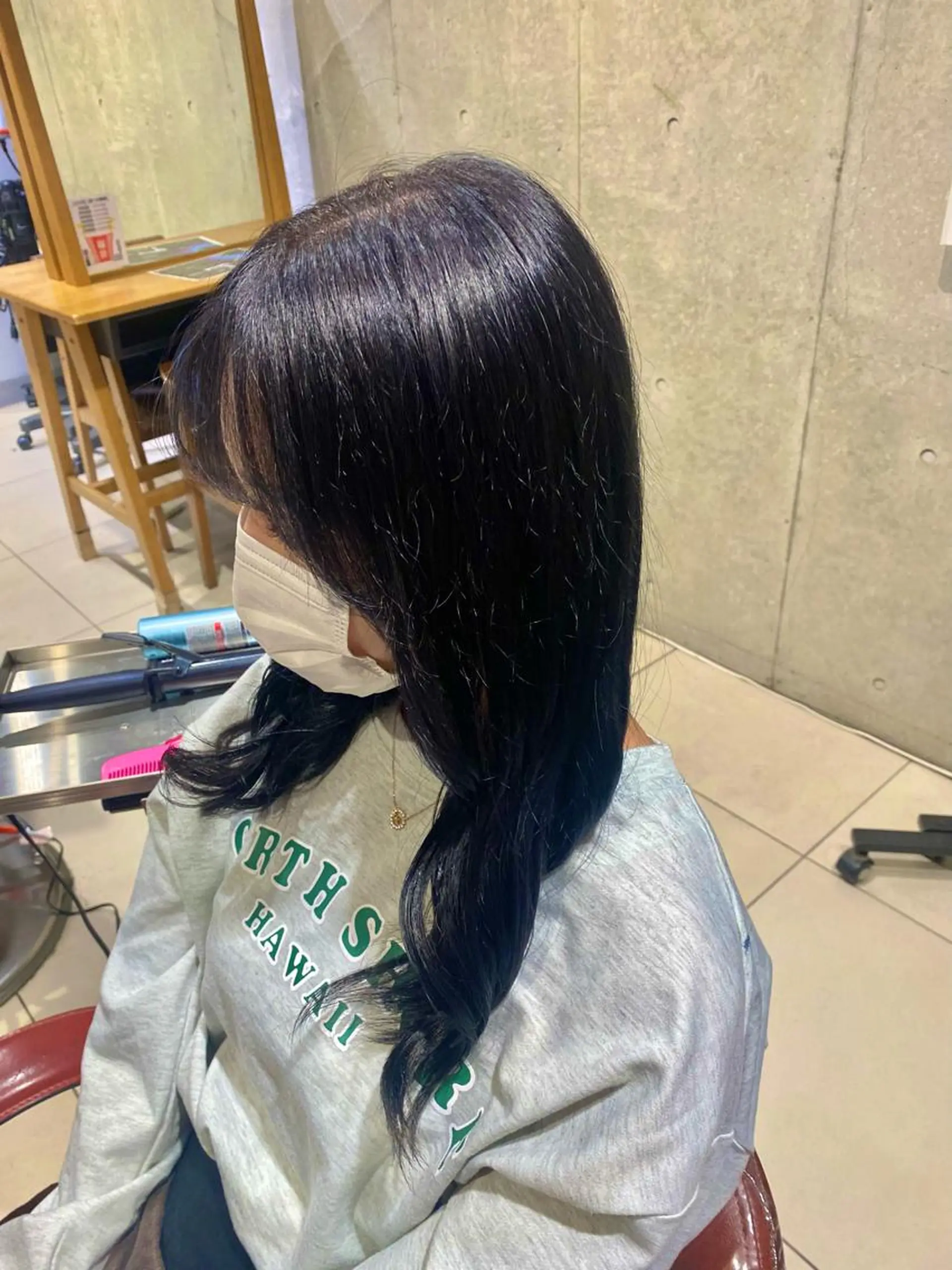 ロング テシロギ セイナのヘアスタイル