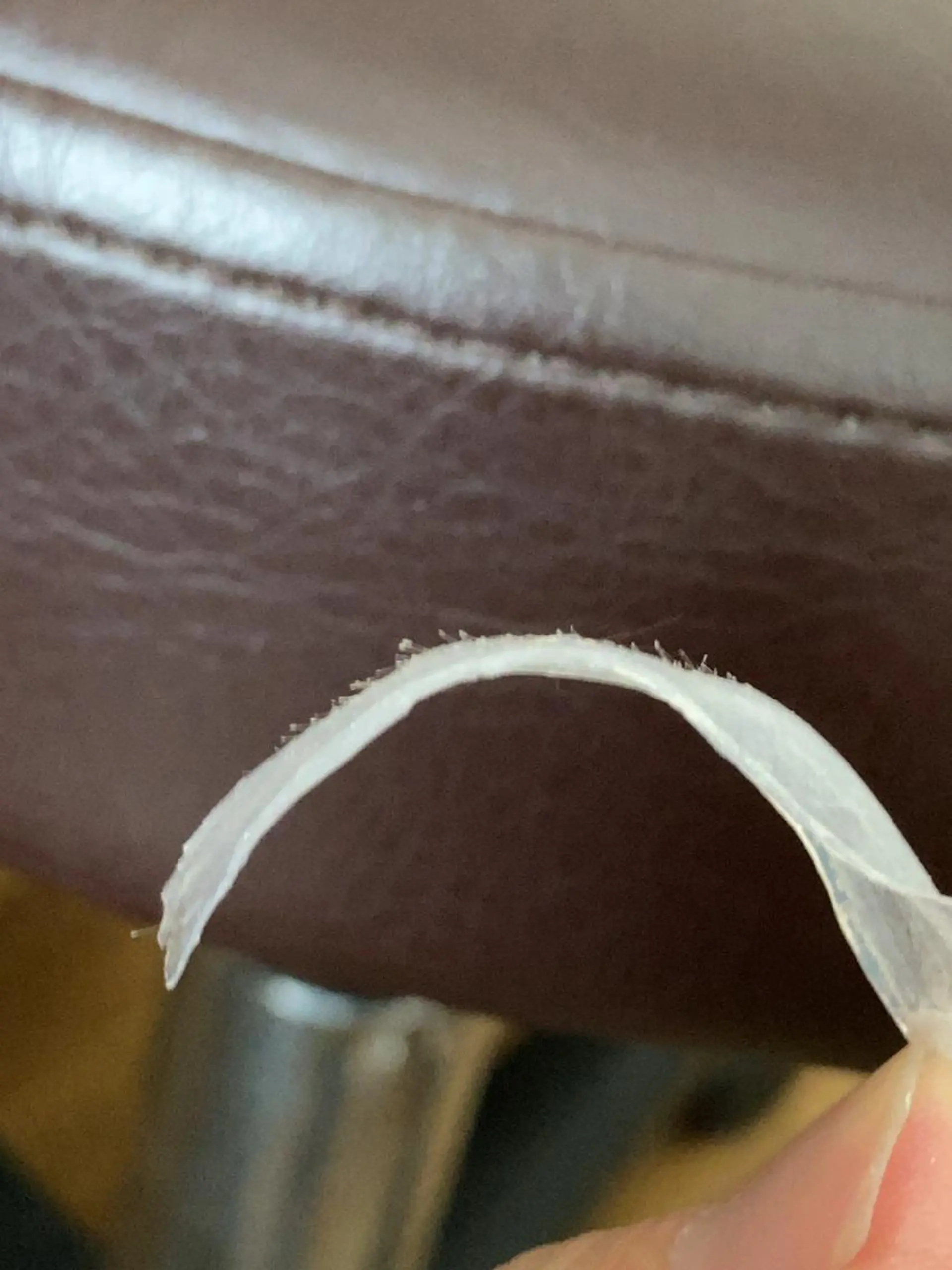 脱毛 産毛専門店 Bittoのエステ・リラクイメージ