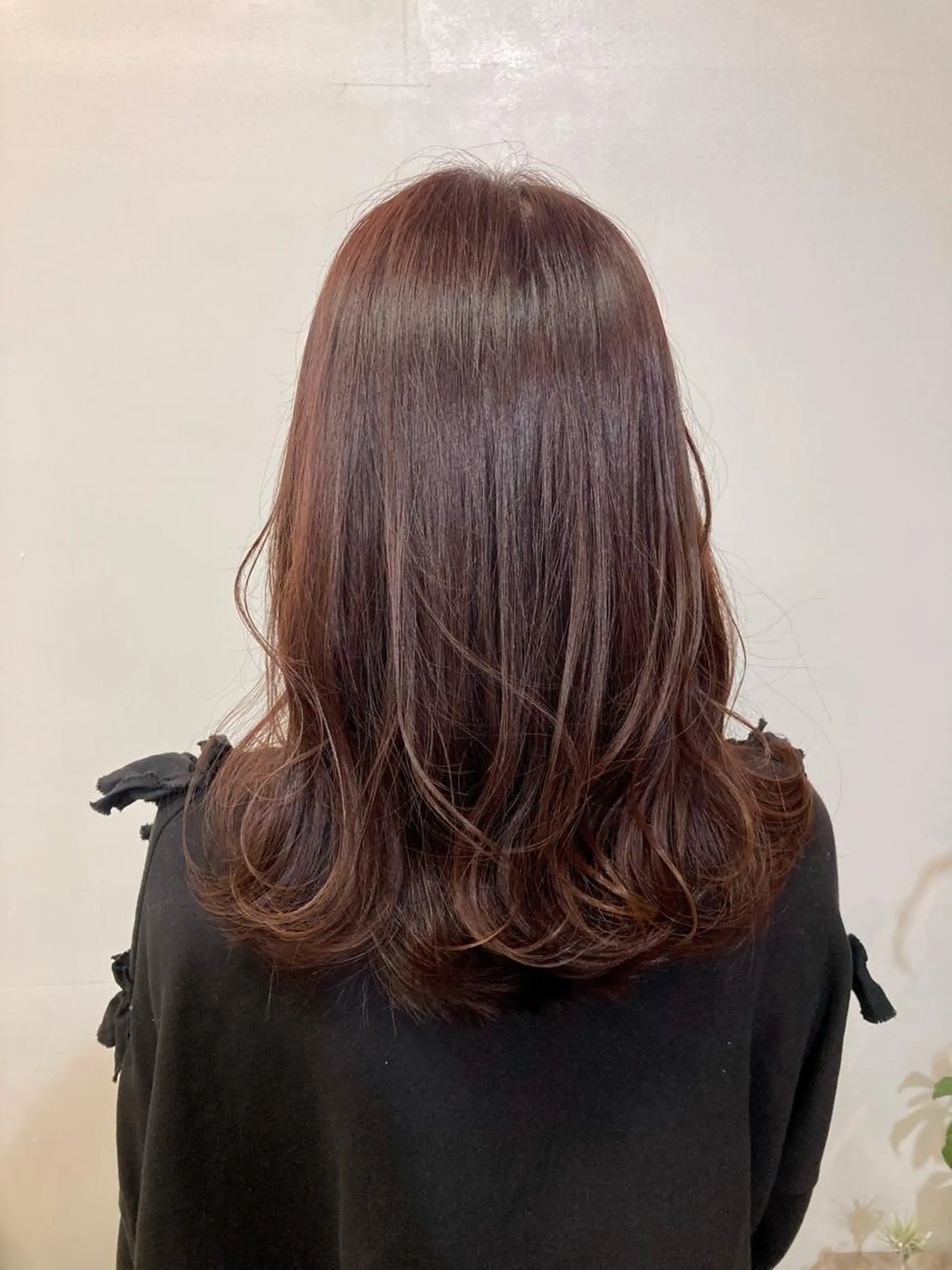 カラー ブラウンカラー ラベンダーカラー ヘアカラー トリートメント WAWA miu🌷のヘアスタイル