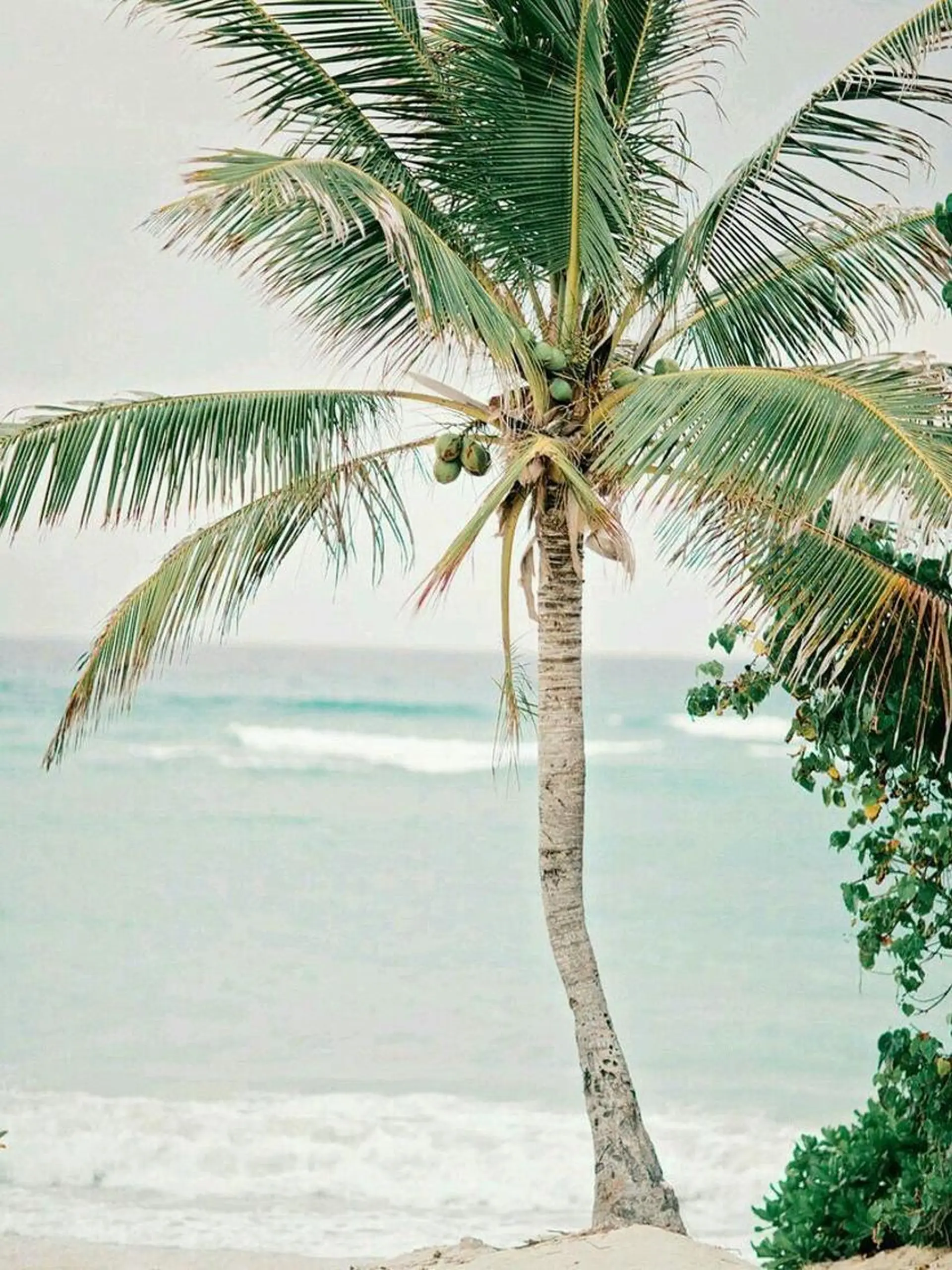 𝐘𝐎𝐒𝐇𝐈 𝐌𝐈🌞🏝のマツエク・マツパデザイン