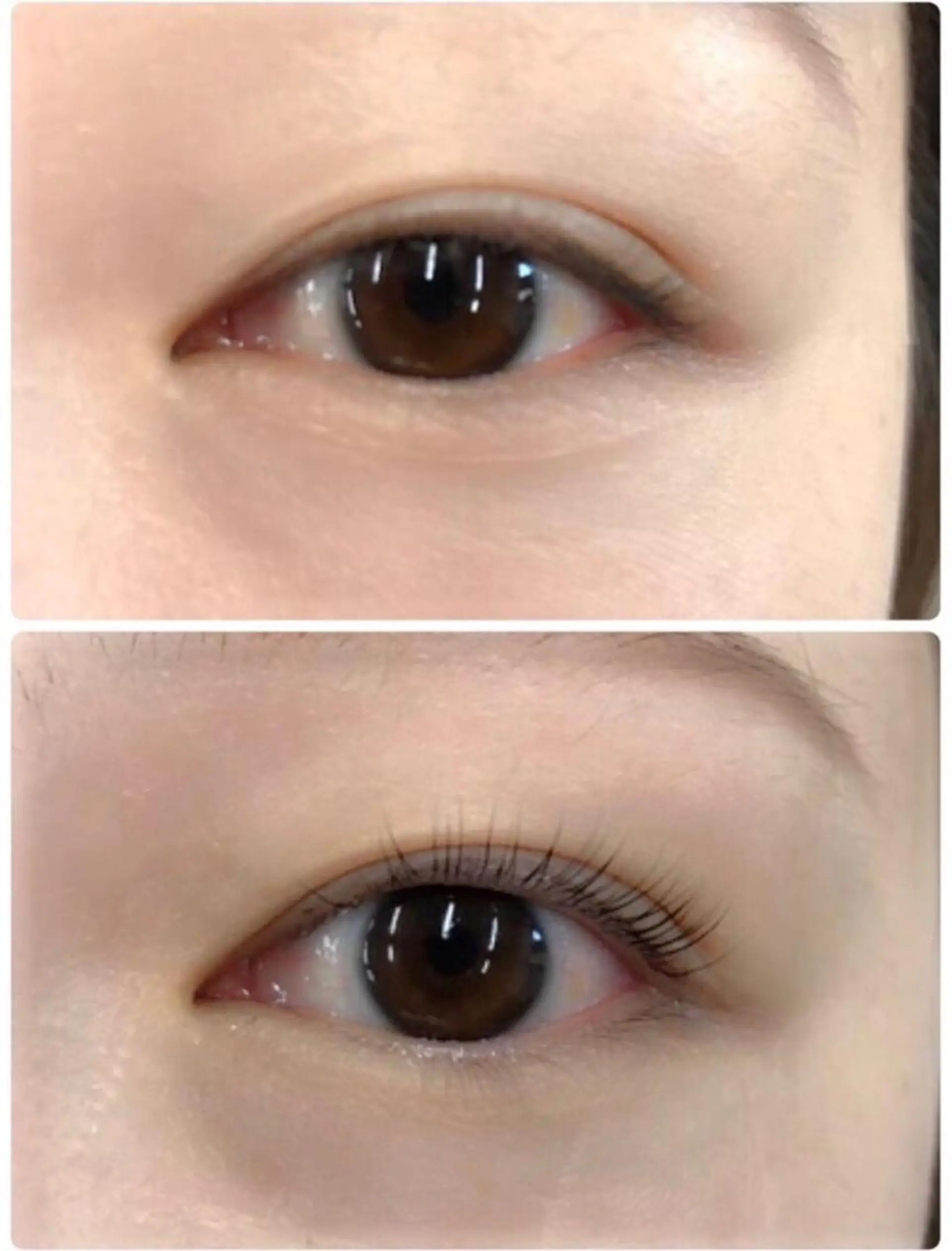 マツエク・マツパ マックスケリー所属・かわ ごえのマツエク・マツパデザイン