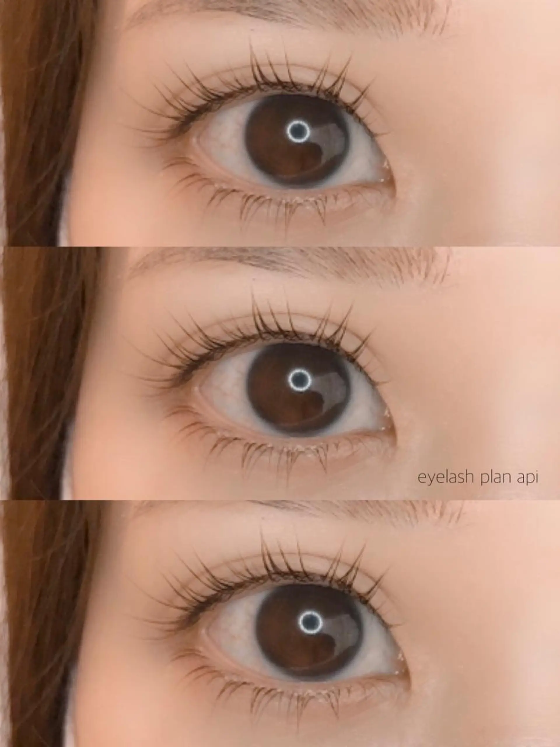 マツエク・マツパ 《eyelash ｉｉｔｅ》森のマツエク・マツパデザイン