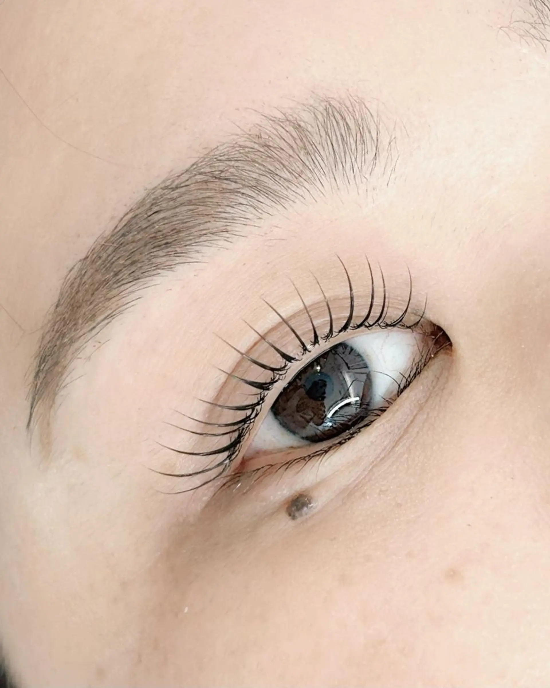 マツエク・マツパ マツパ lieu pré eyelashの眉毛・アイブロウイメージ