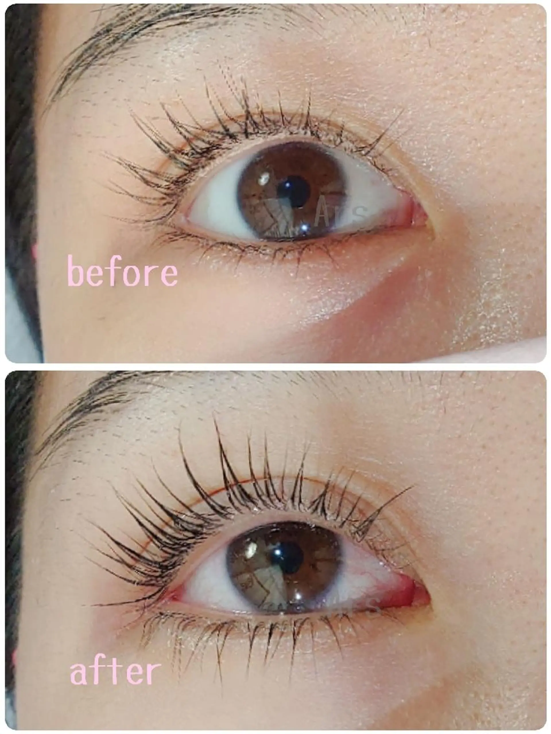 マツエク・マツパ アイリッドアップパーマ Ars      (ｱﾙｽ)のマツエク・マツパデザイン