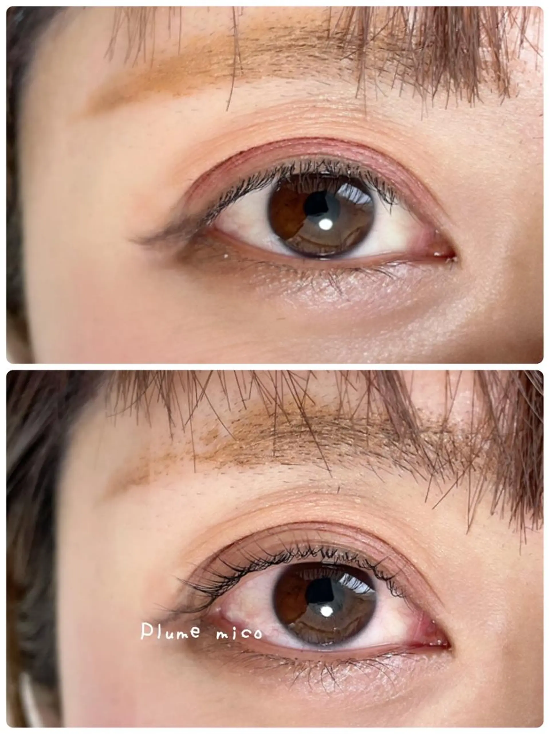 マツエク・マツパ マツパ Plume micoのマツエク・マツパデザイン