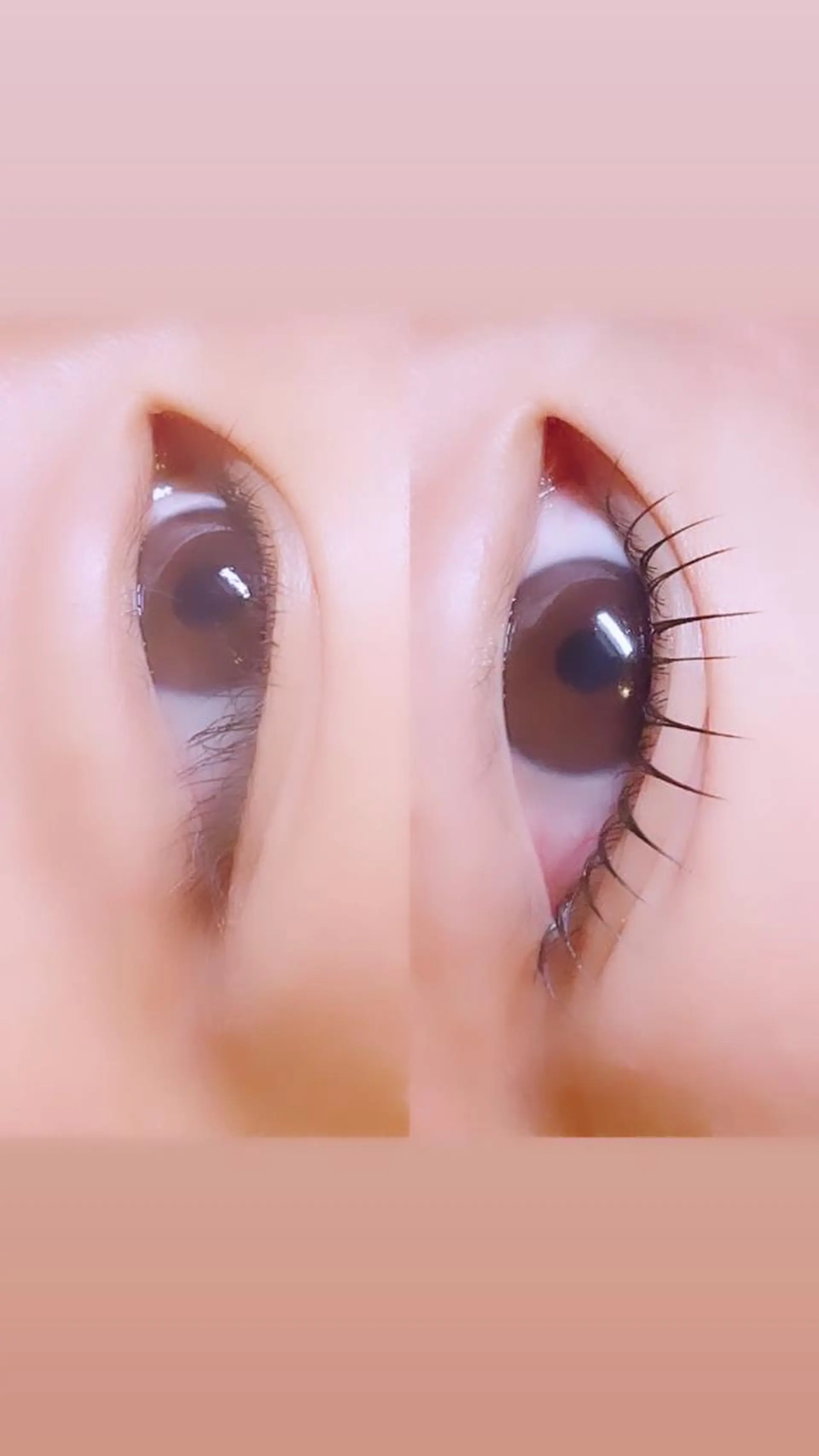 マツエク・マツパ ロニセラ アイラッシュのマツエク・マツパデザイン