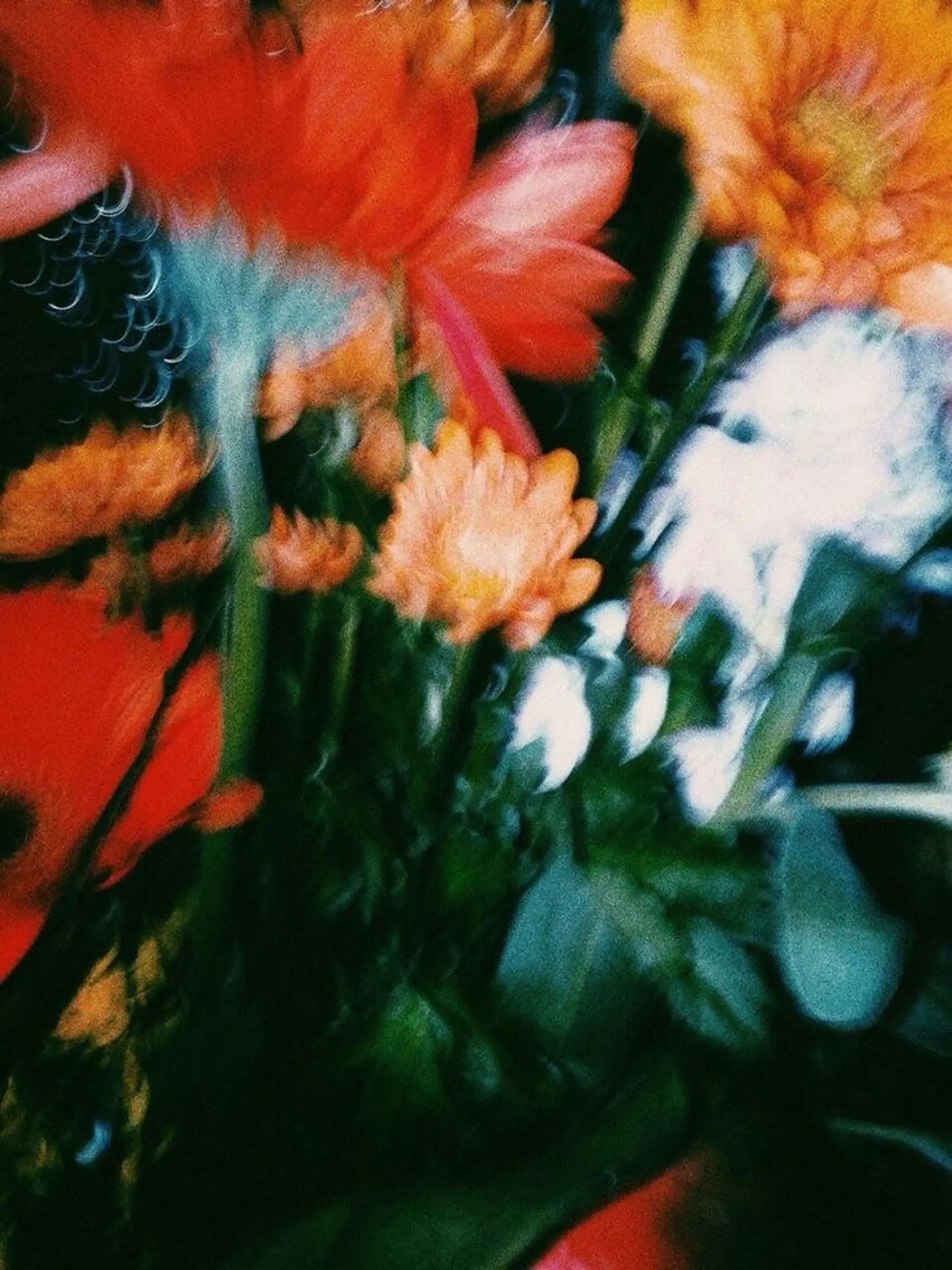 マツエク・マツパ ワックス脱毛 maru 🌿代官山の眉毛・アイブロウイメージ