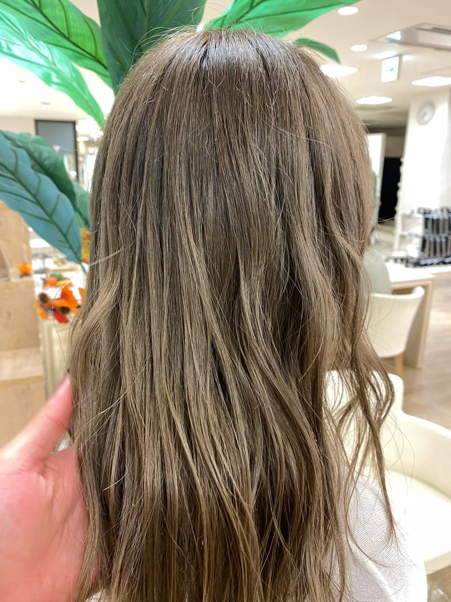 セミロング カラー ハイトーン/ウルフ /レイヤー/坂野幸伸のヘアスタイル