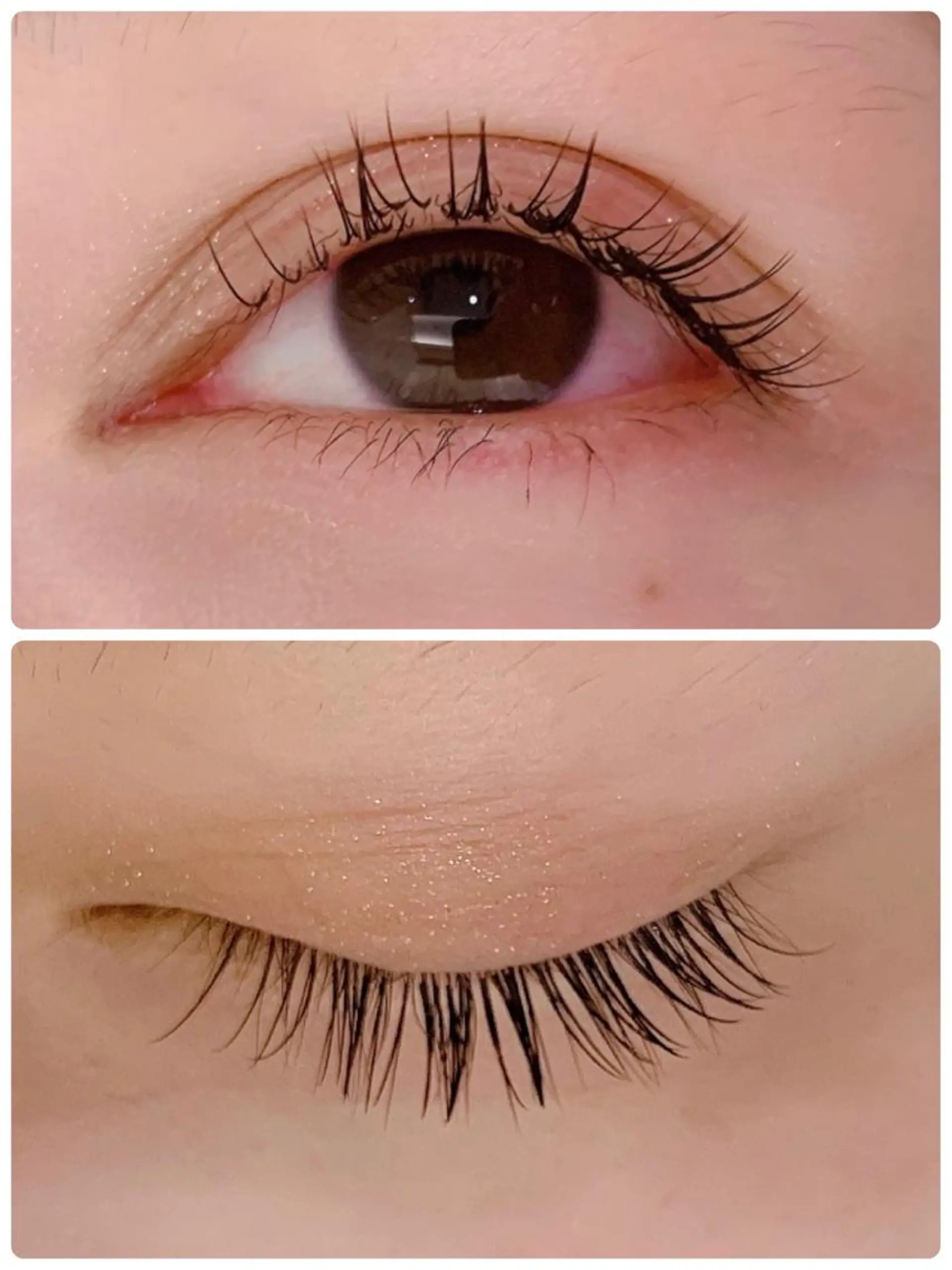 マツエク・マツパ 銀座/LEDマツエク 高宮のマツエク・マツパデザイン