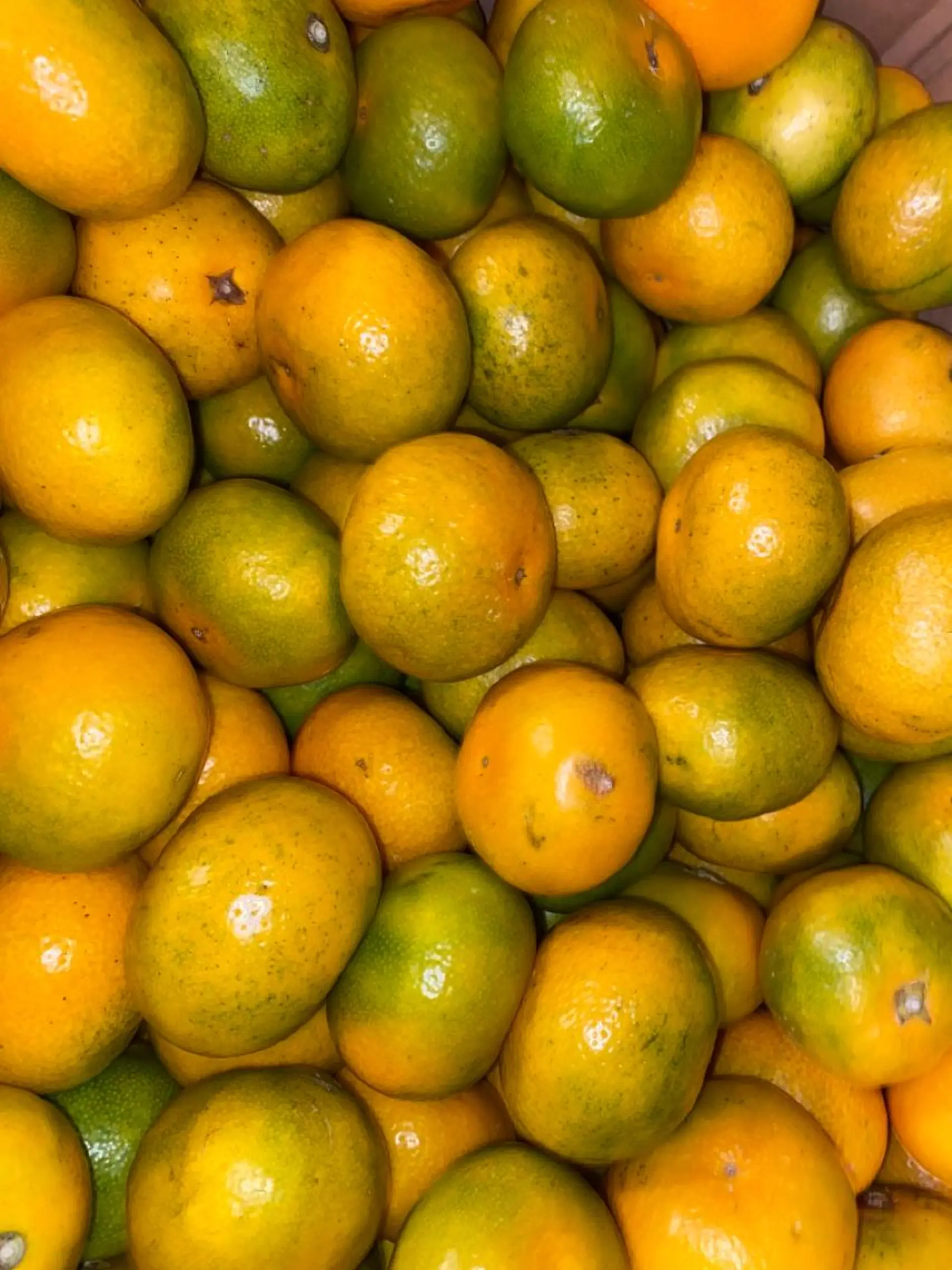 Mandarin Orange所属・毛穴から始める肌メン テマンダリンオレンジのエステ・リラクイメージ