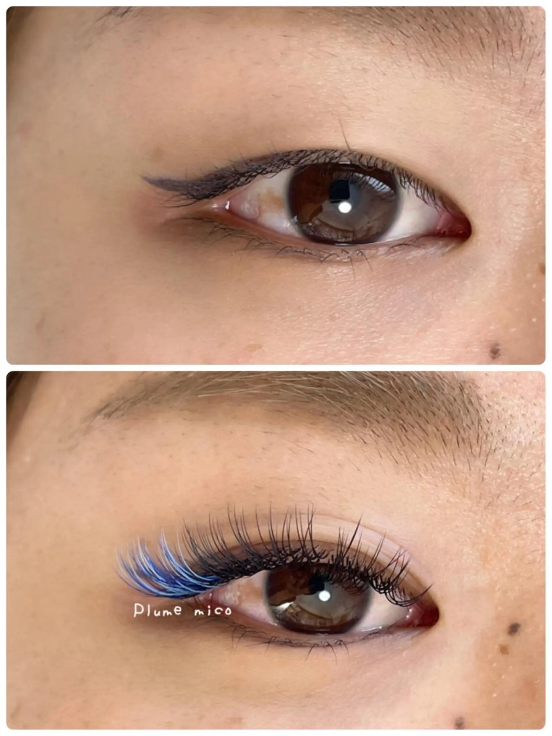 マツエク・マツパ マツエク Plume micoのマツエク・マツパデザイン