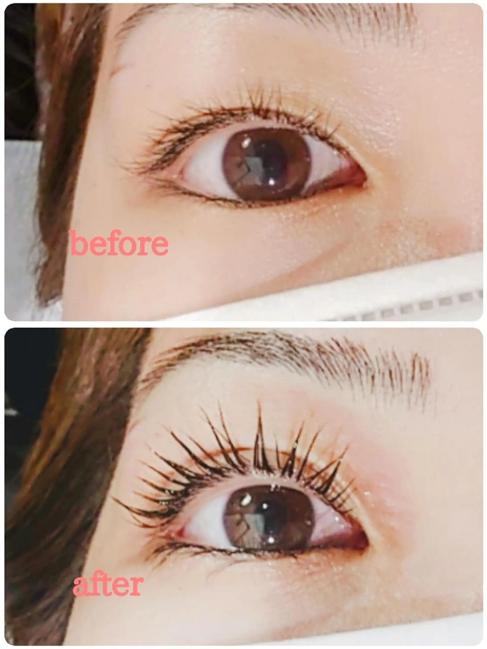 マツエク・マツパ アイリッドアップパーマ Ars      (ｱﾙｽ)のマツエク・マツパデザイン