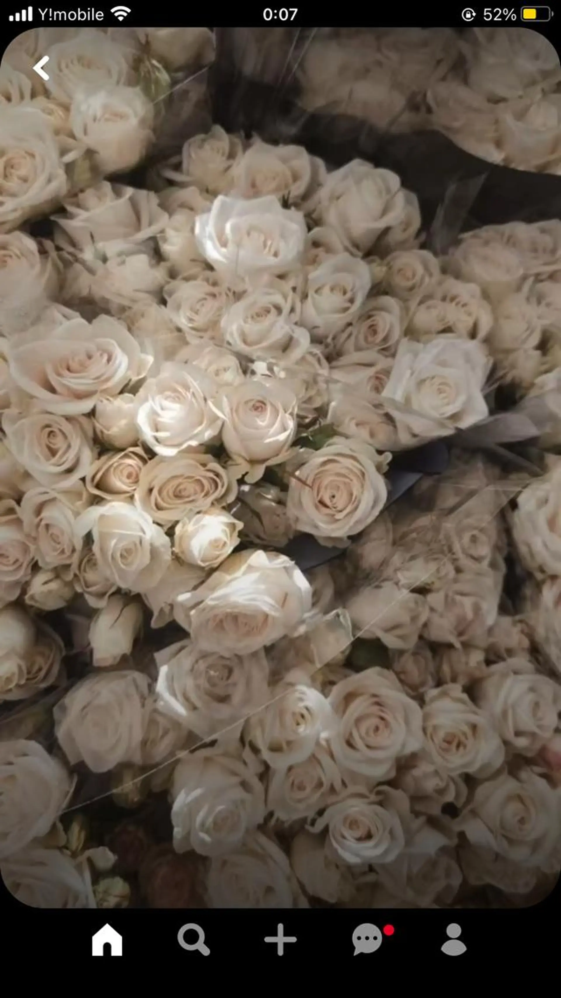 マツエク・マツパ .*･ﾟAmy .ﾟ･*.のマツエク・マツパデザイン