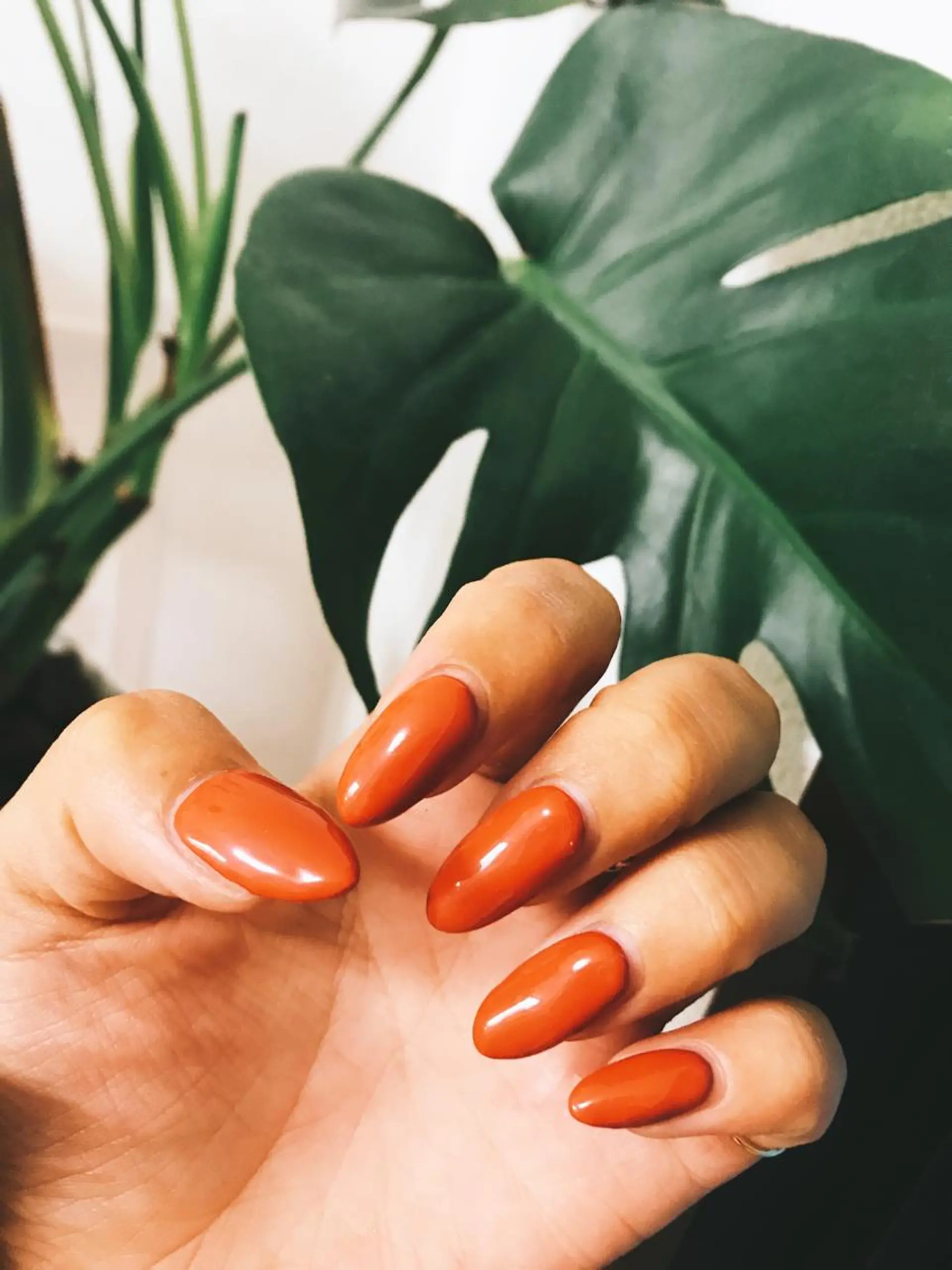 ネイル ワンカラーネイル 【カメレオン】 上村 祥子のその他イメージ