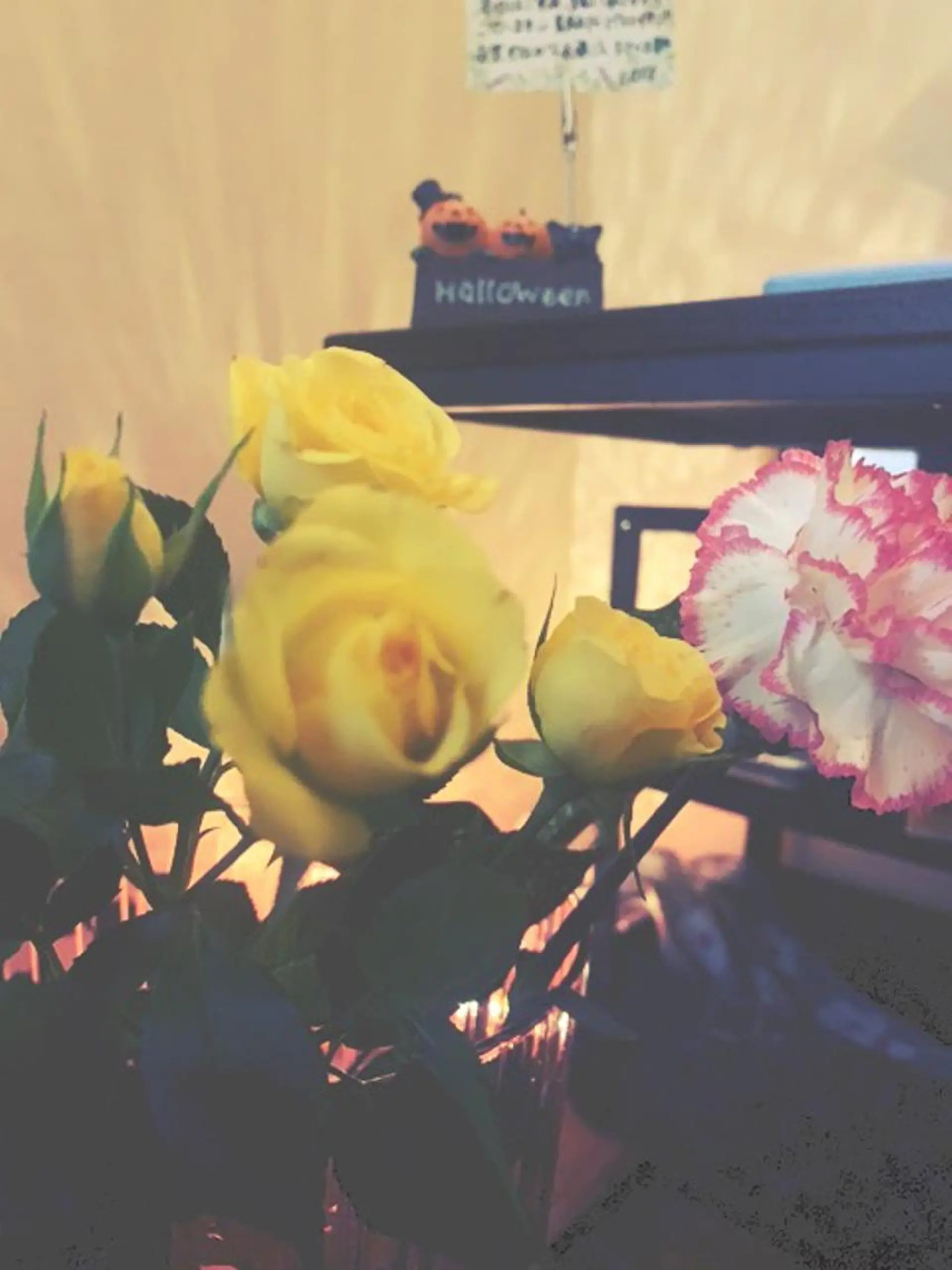 エステ リラク 姿勢・体質改善・自律神経ケアサロンCOTO所属・姿勢・体質・自律神経 ケアサロンCOTOのエステ・リラクイメージ