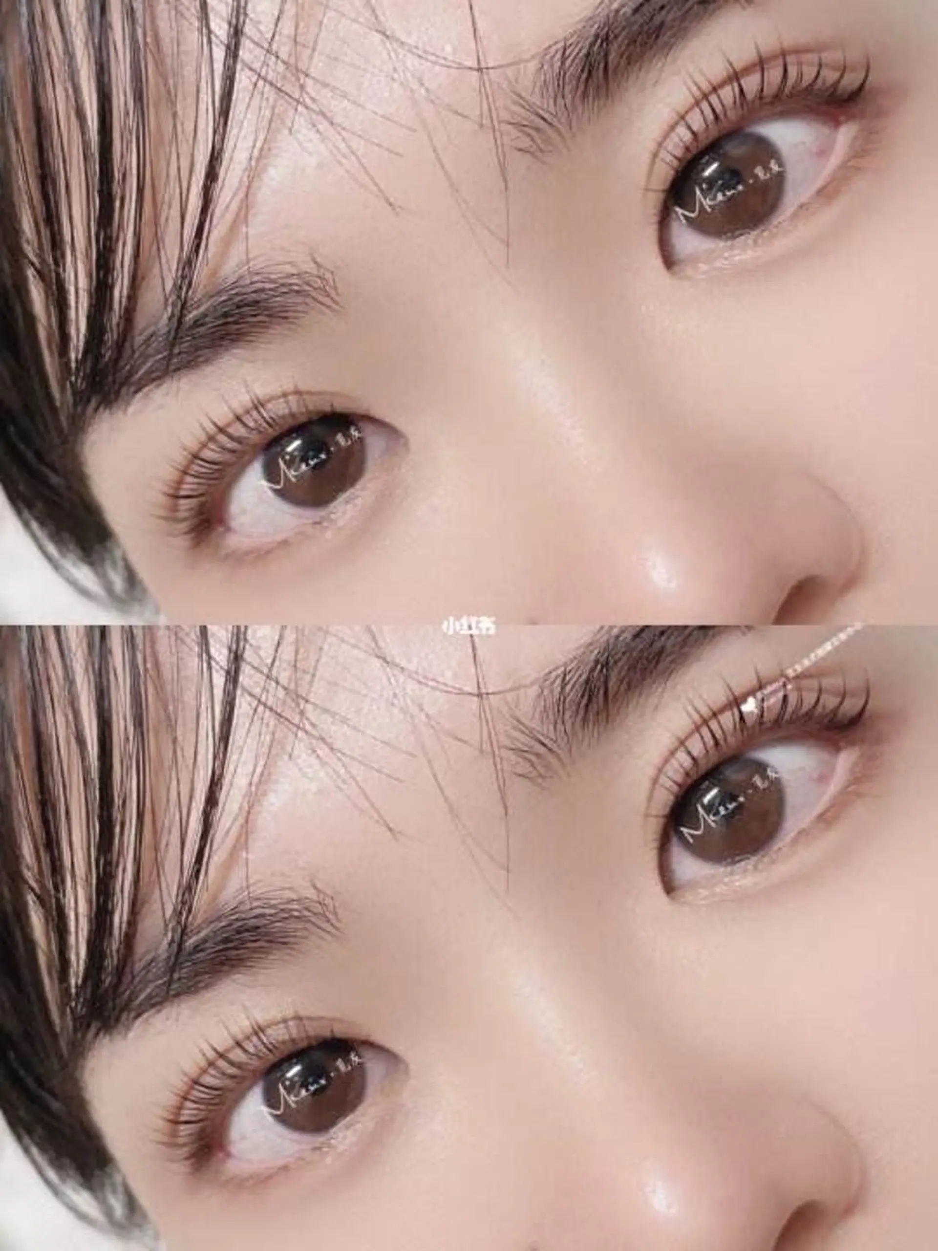 マツエク・マツパ パリジェンヌラッシュリフト Lemon 小岩店のマツエク・マツパデザイン