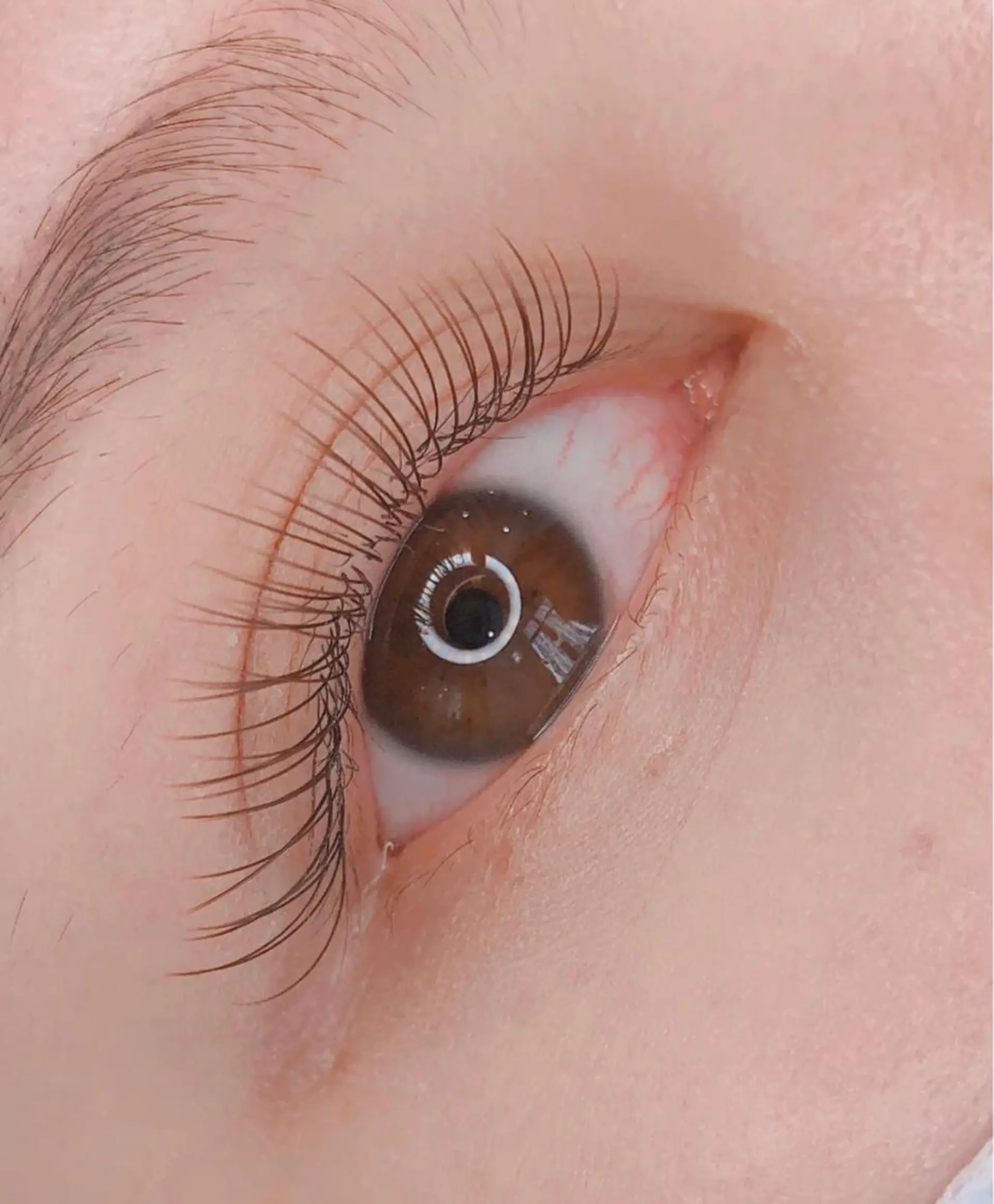 マツエク・マツパ マツエク An beauty2のマツエク・マツパデザイン