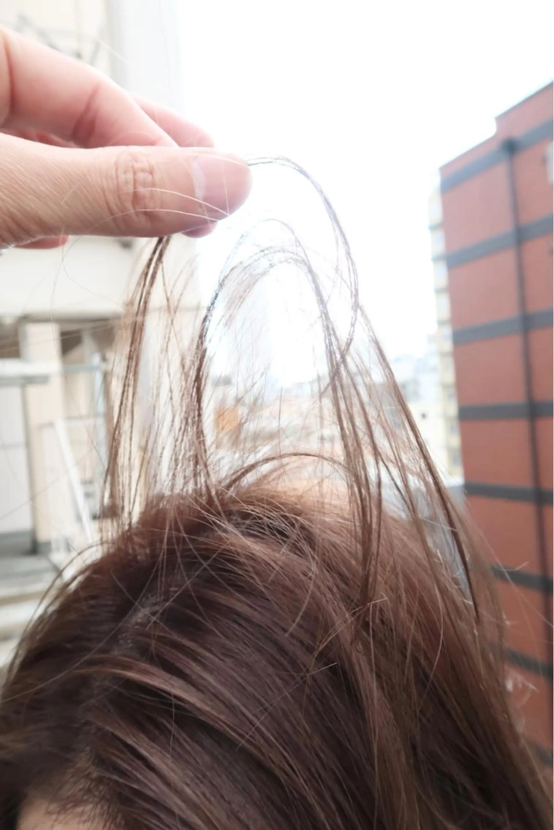 ミディアム 西尾 隆介のヘアスタイル