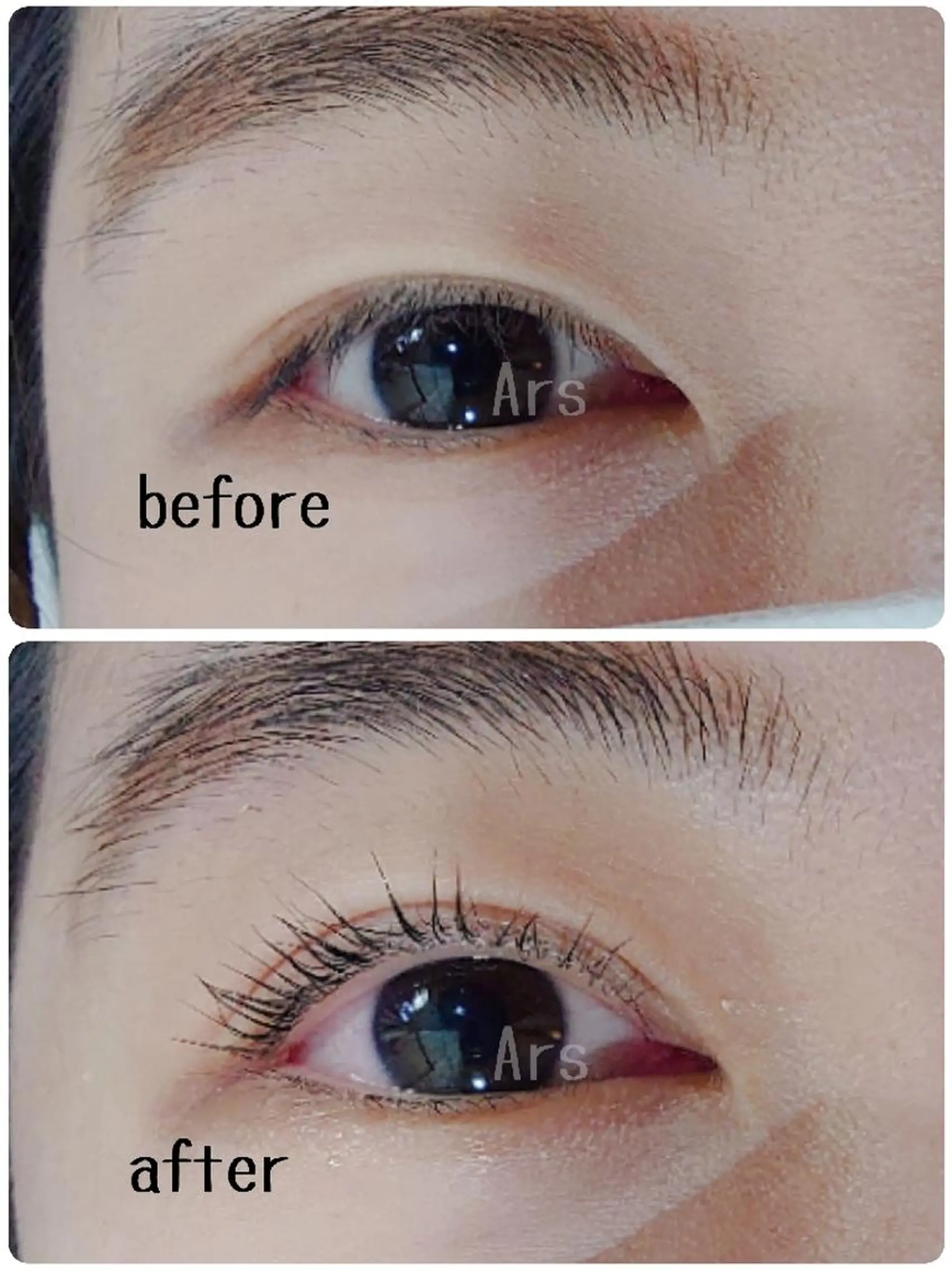 マツエク・マツパ アイリッドアップパーマ Ars      (ｱﾙｽ)のマツエク・マツパデザイン