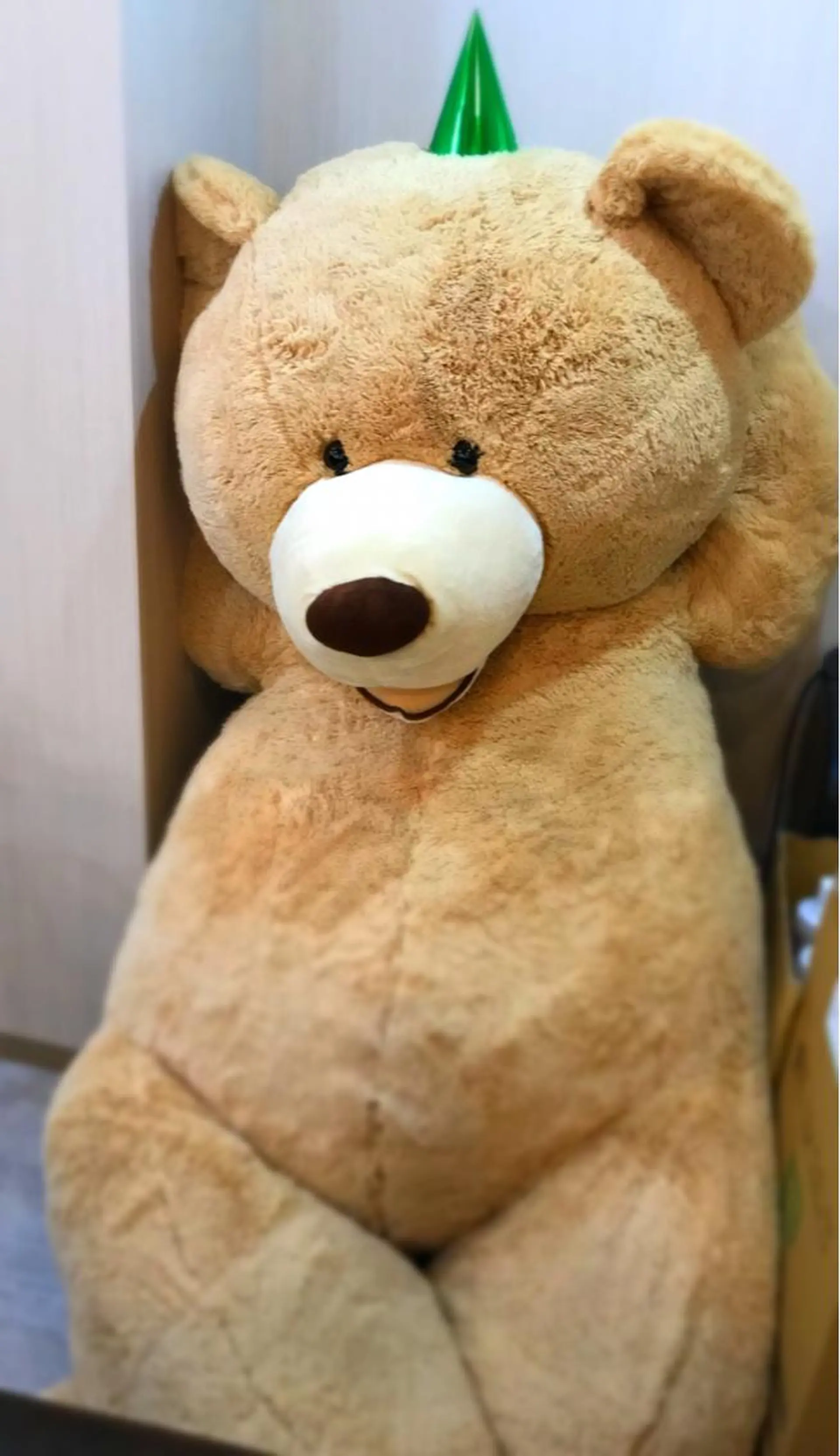 ミディアム テディ teddyのヘアスタイル