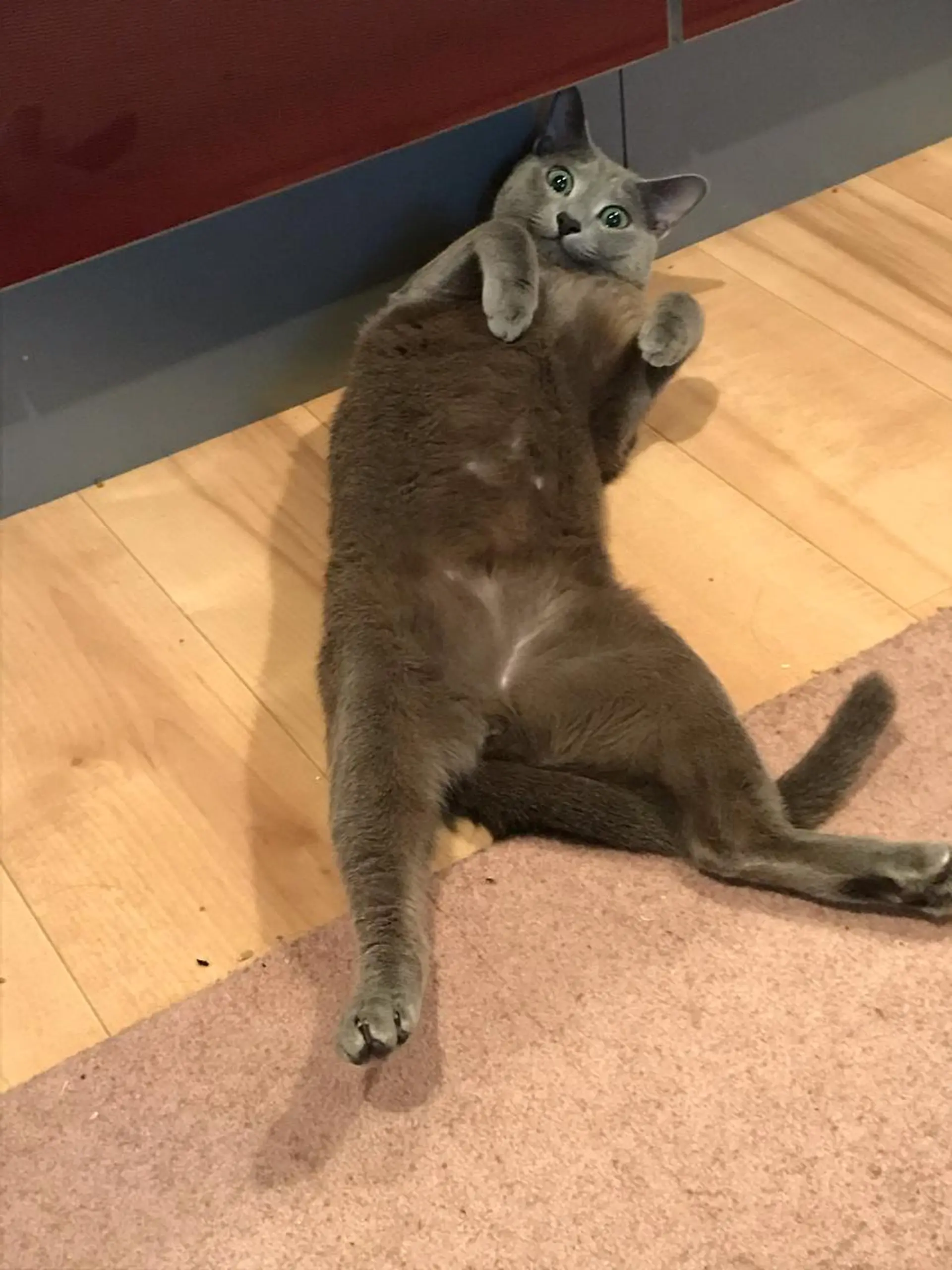 ショート カラー パーマ ヘアアレンジ メンズ キッズ ネイル マツエク・マツパ アニメ,Vオタク× 即効痩せエステサロンのエステ・リラクイメージ