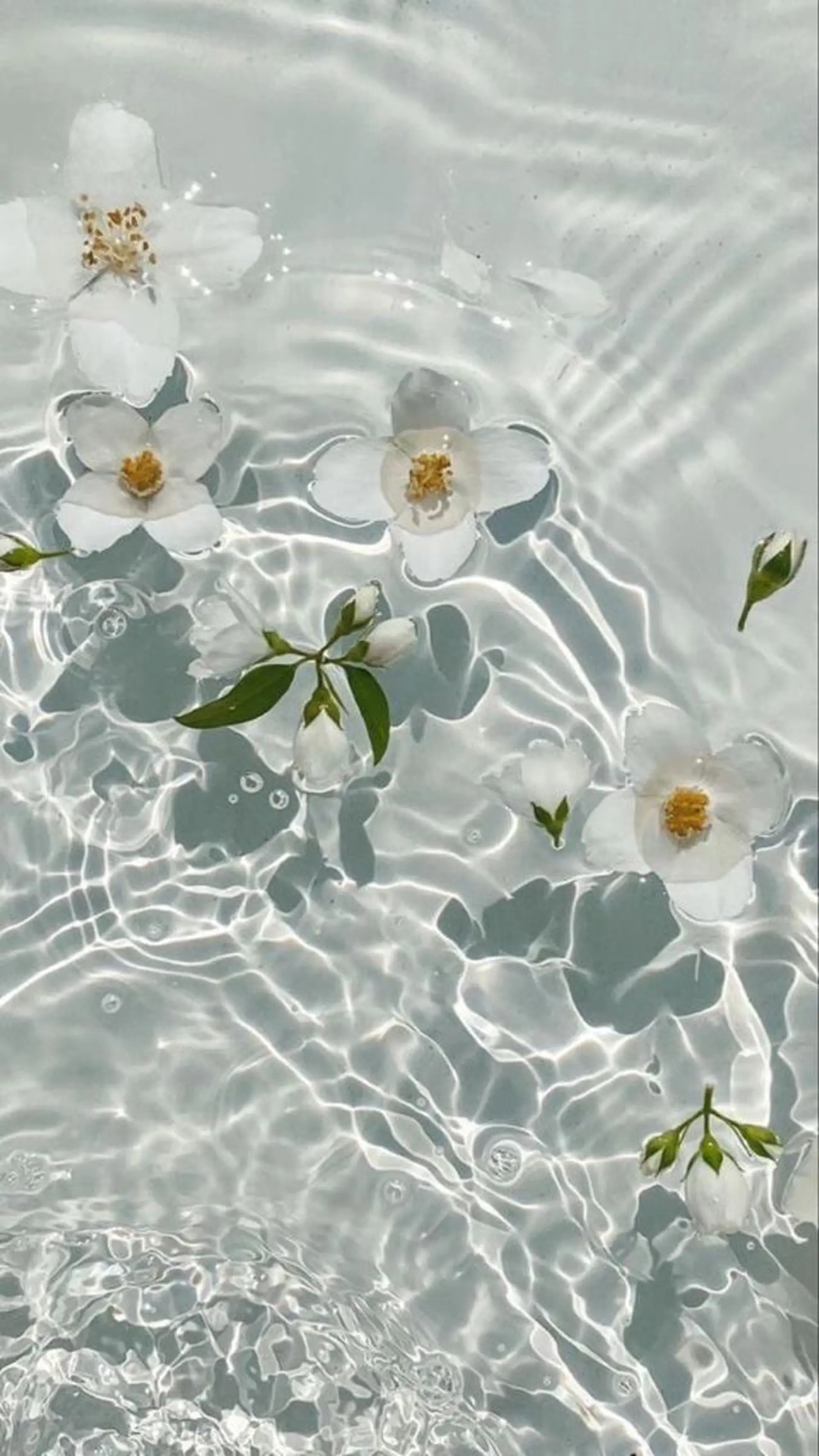 ショート カラー パーマ ヘアアレンジ メンズ キッズ ネイル マツエク・マツパ アイブロウ Chloe-クロエ- 脱毛/フェイシャルのエステ・リラクイメージ