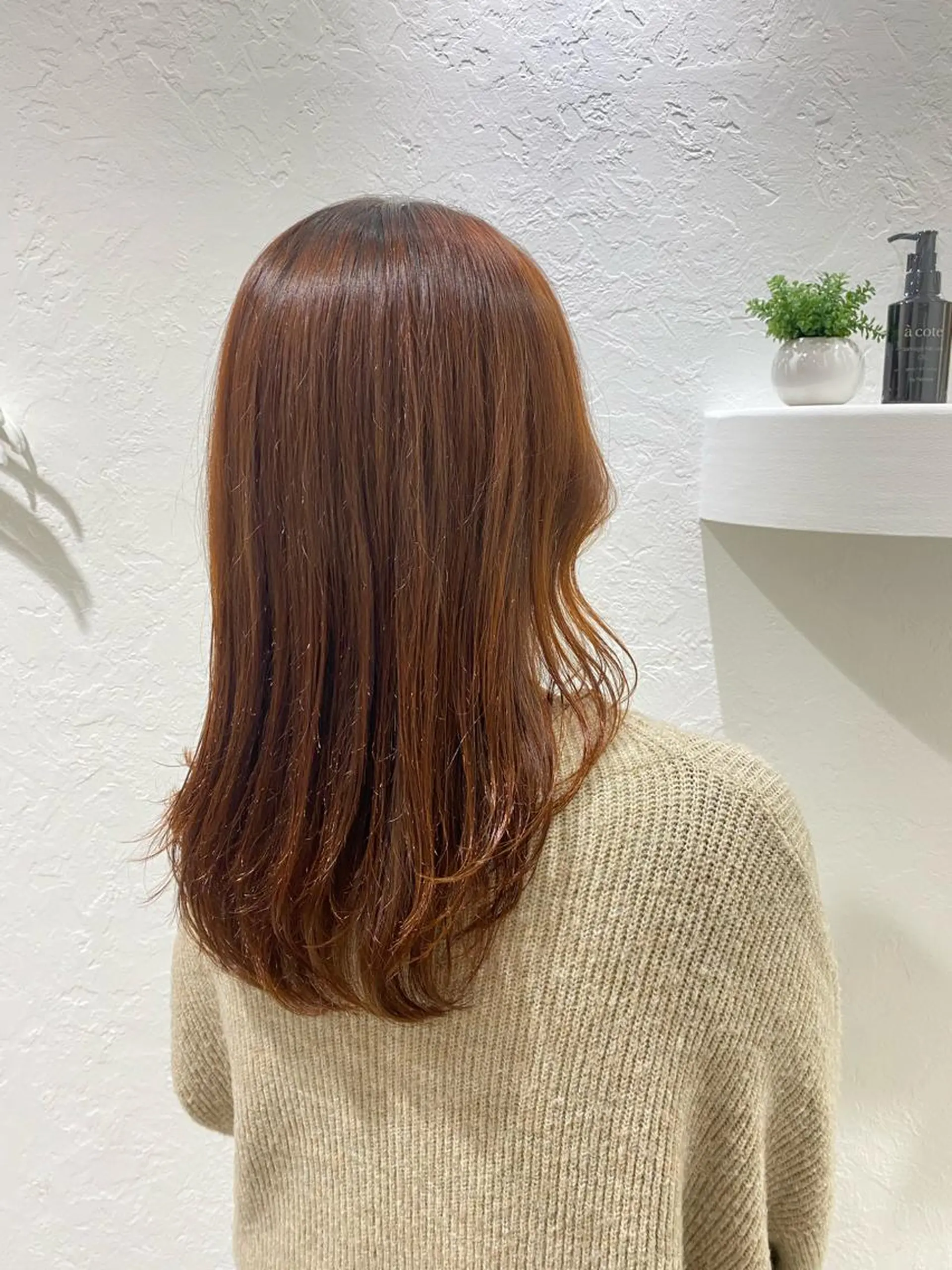 セミロング カラー ながい りなのヘアスタイル