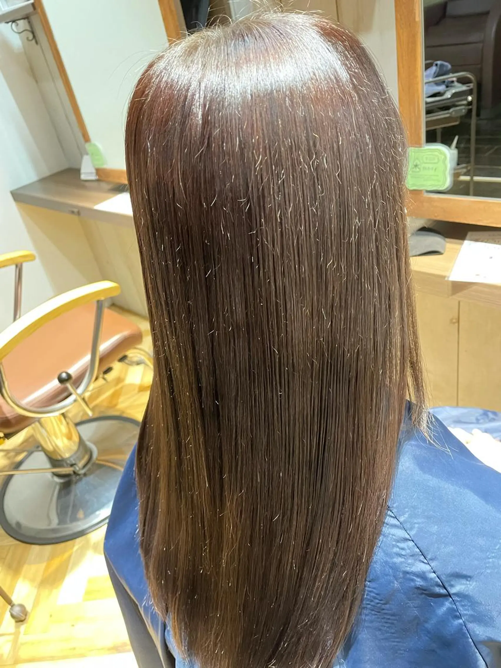 カラー 関根 陽平のヘアスタイル