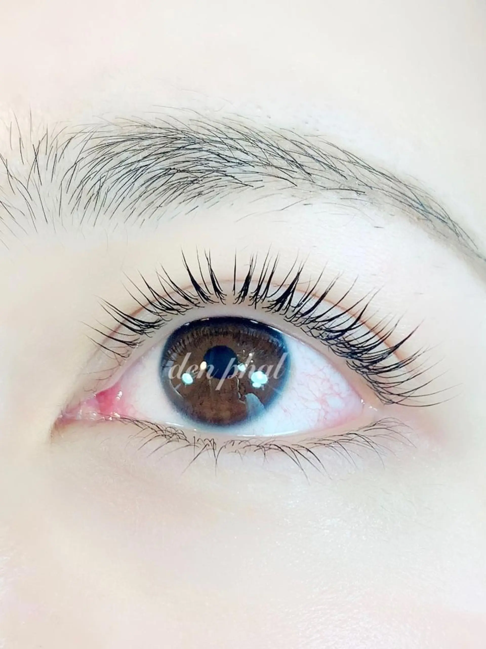 マツエク・マツパ パリジェンヌラッシュリフト マツパ salon de denphalのマツエク・マツパデザイン