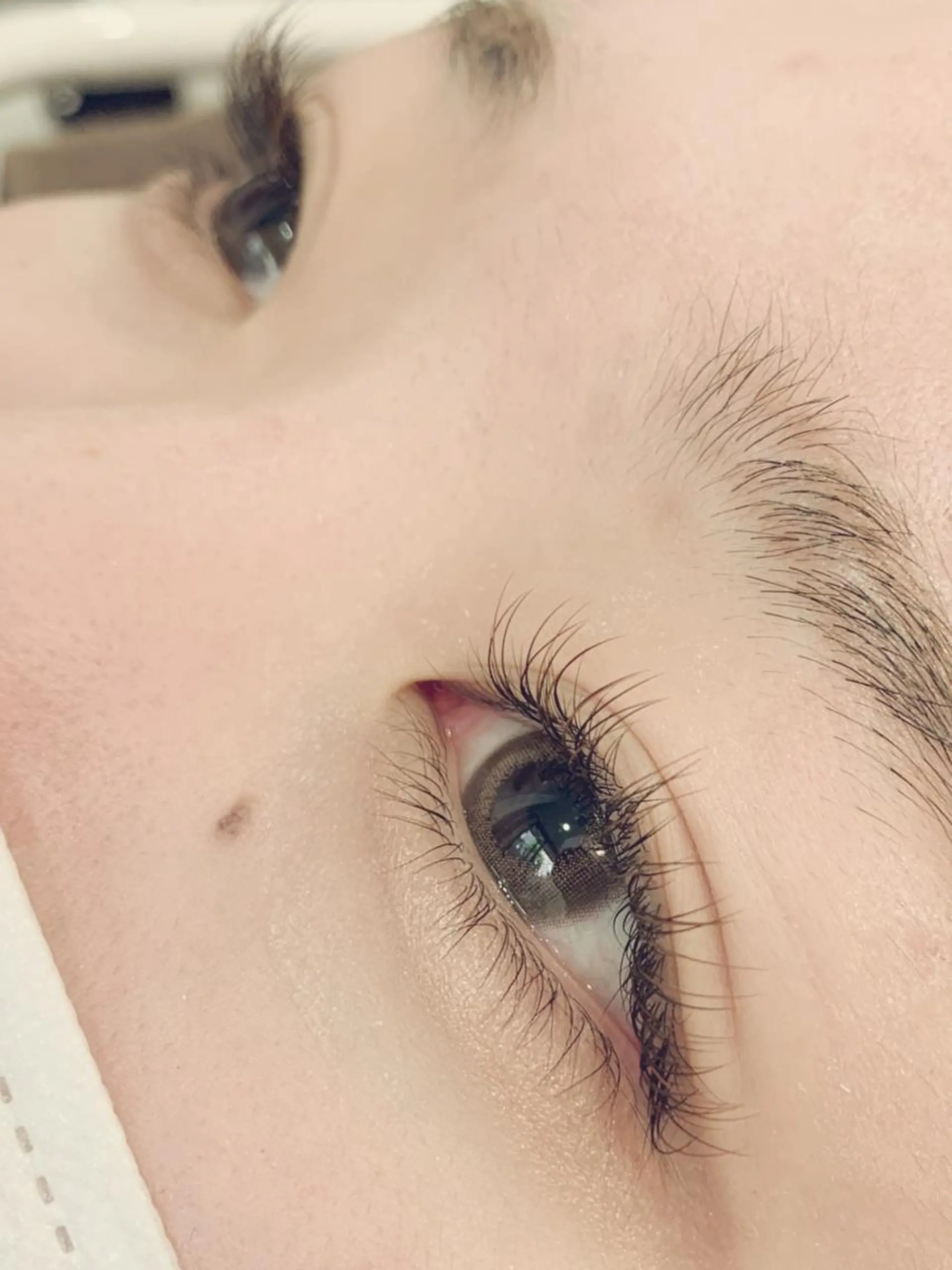 マツエク・マツパ カラーマツエク ナチュラル マツエク やまにたゆか🌿 Nordlysのマツエク・マツパデザイン