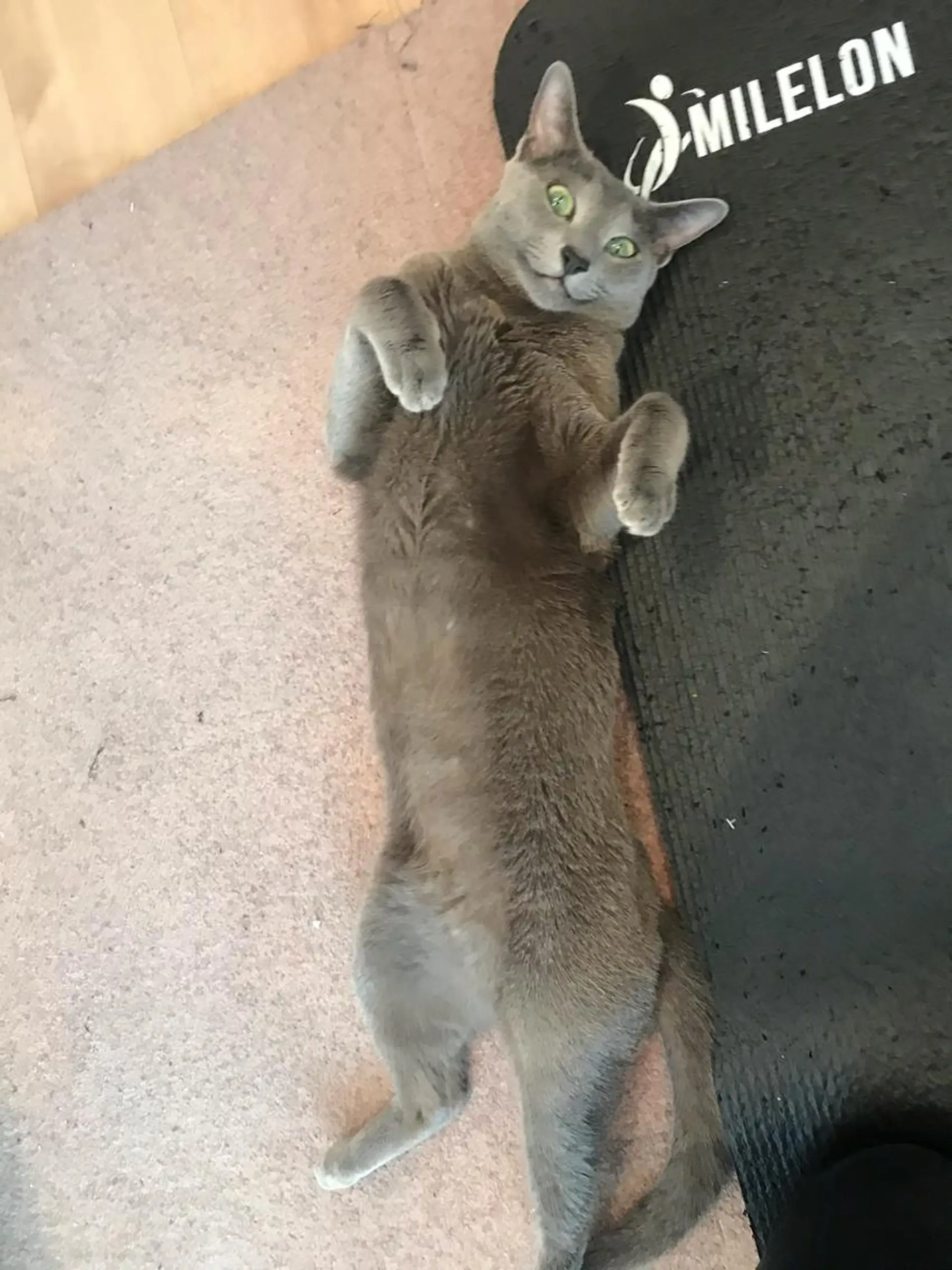 ショート カラー パーマ ヘアアレンジ メンズ キッズ ネイル マツエク・マツパ アニメ,Vオタク× 即効痩せエステサロンのエステ・リラクイメージ