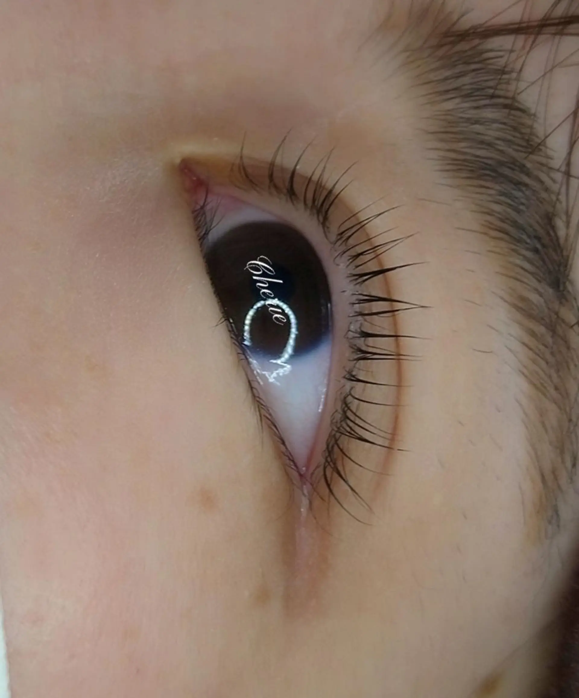 マツエク・マツパ マツパ ビューティーサロン シェリーのその他イメージ